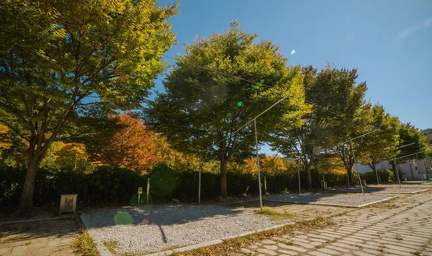 함양용추오토캠핑장 사진 25