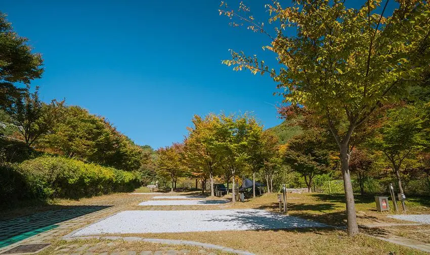 함양용추오토캠핑장 사진 20