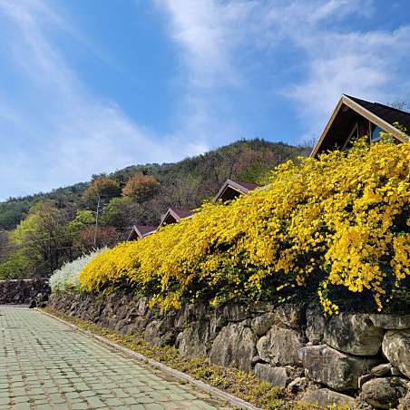 함양용추오토캠핑장 사진 24