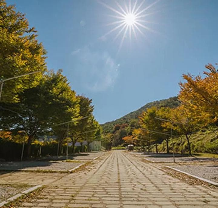 함양용추오토캠핑장 대표 사진