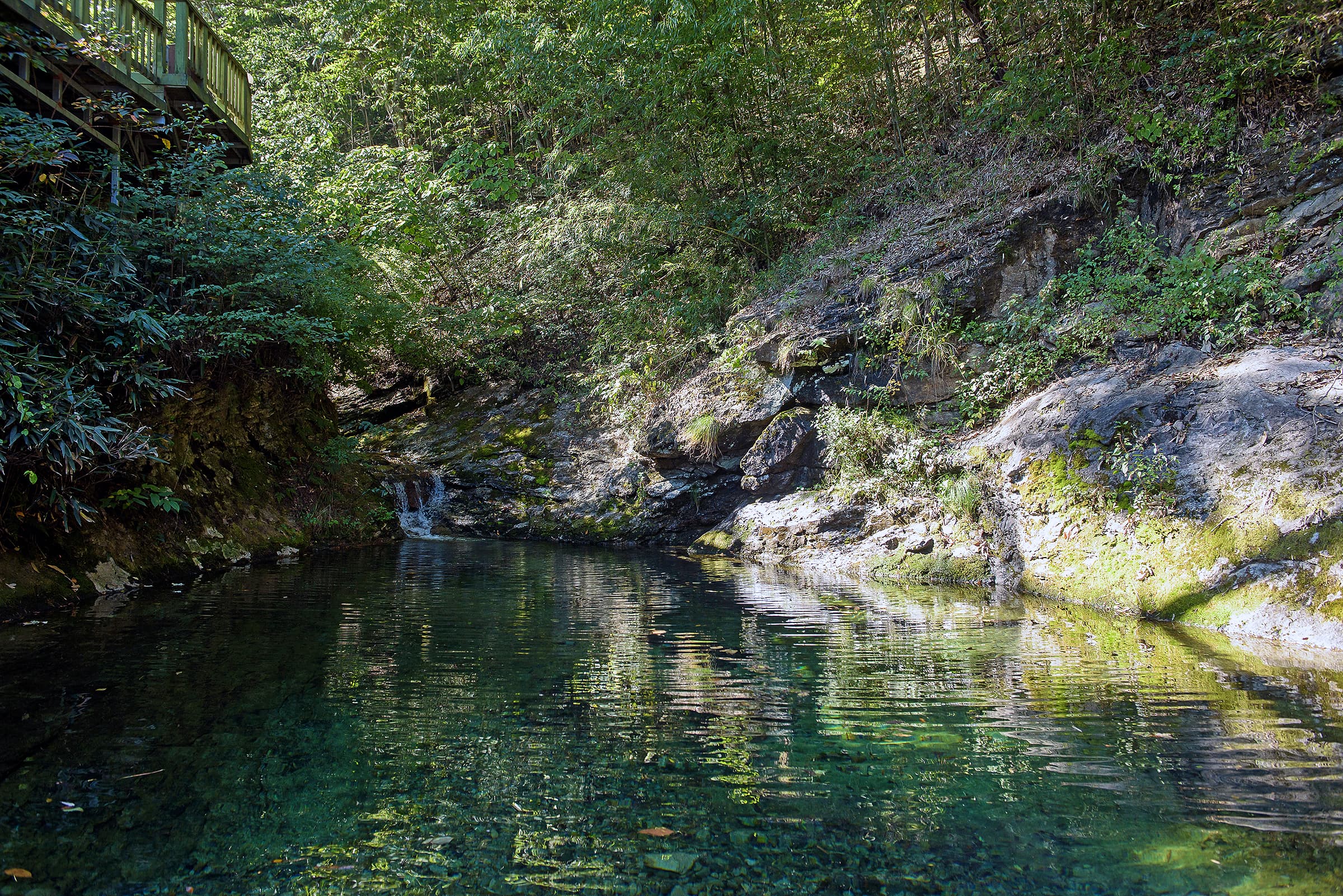 해오름펜션야영장 사진 6
