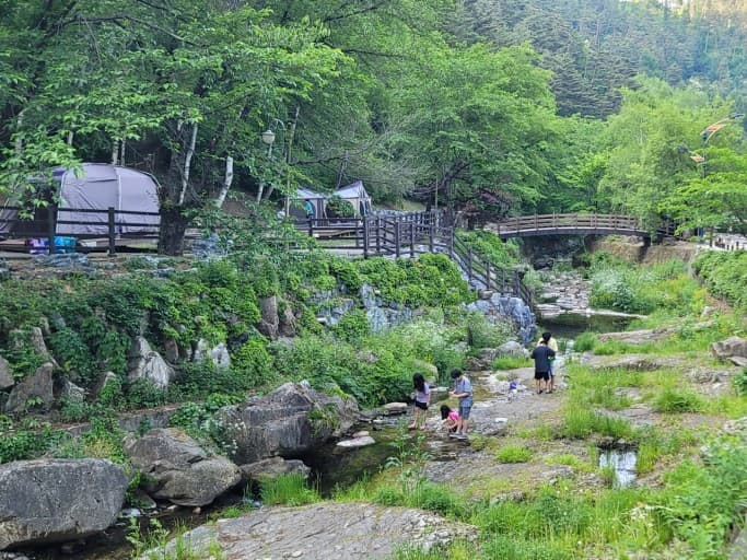 화암약수야영장 사진 4