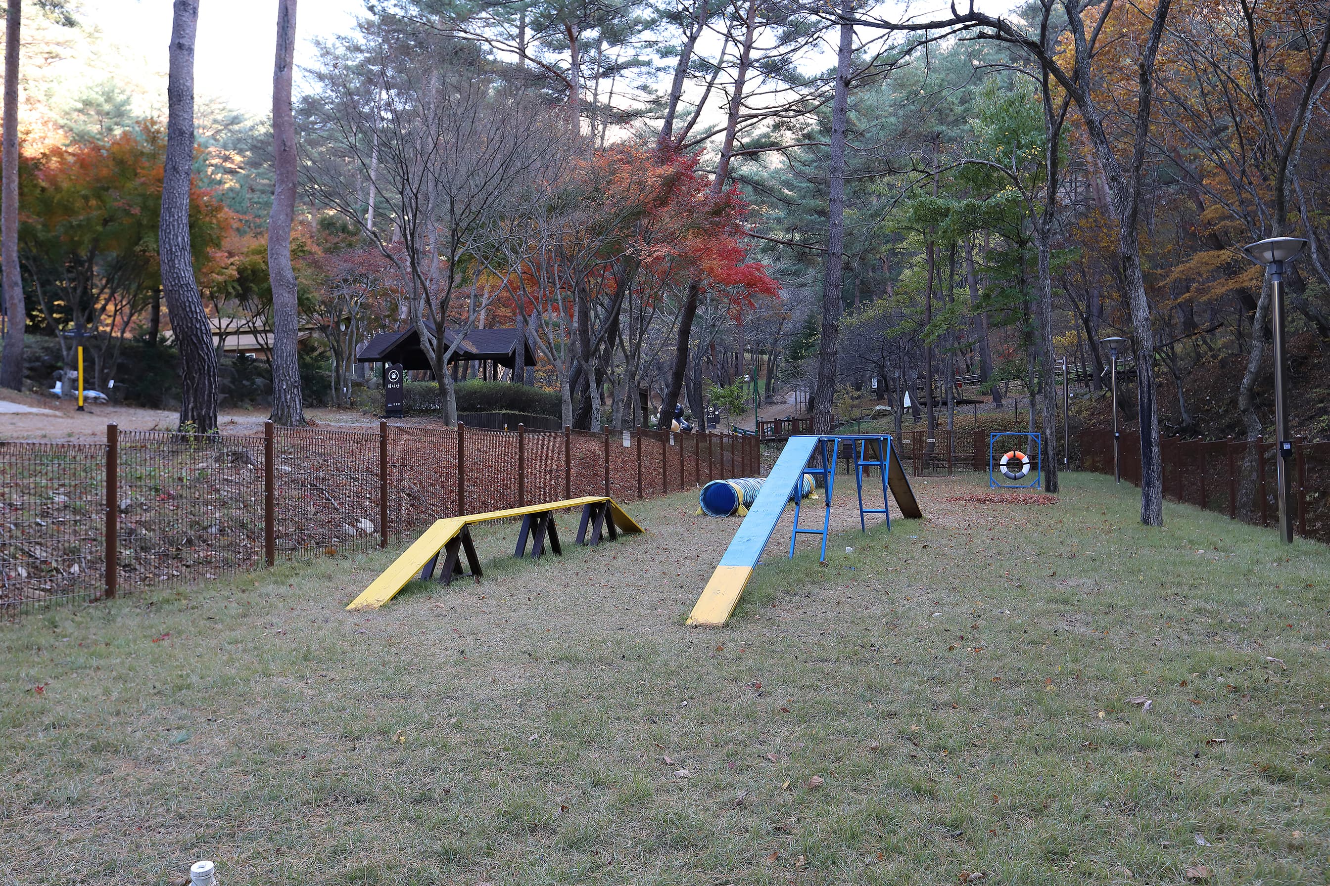 국립검마산자연휴양림야영장 사진 17