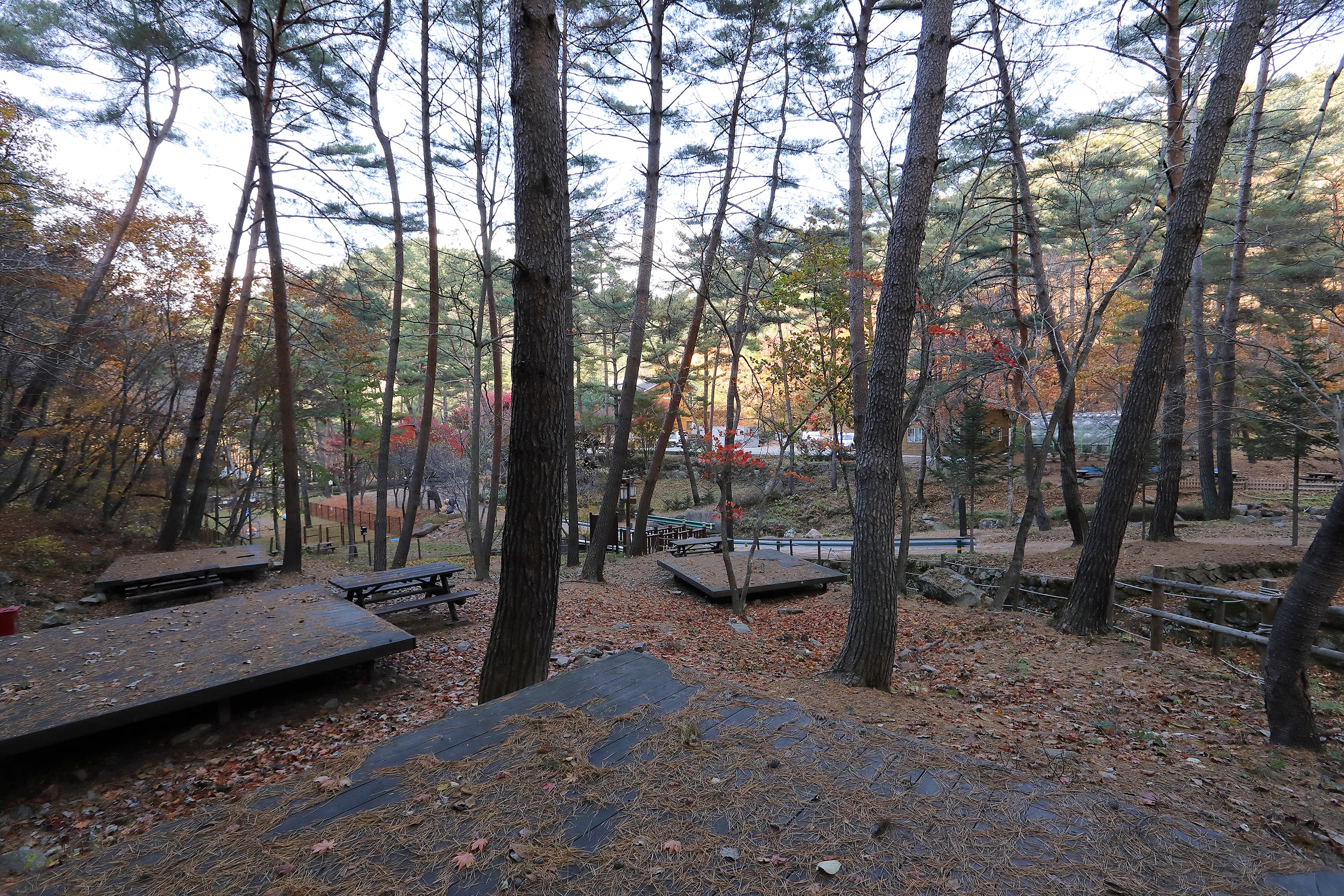 국립검마산자연휴양림야영장 사진 11