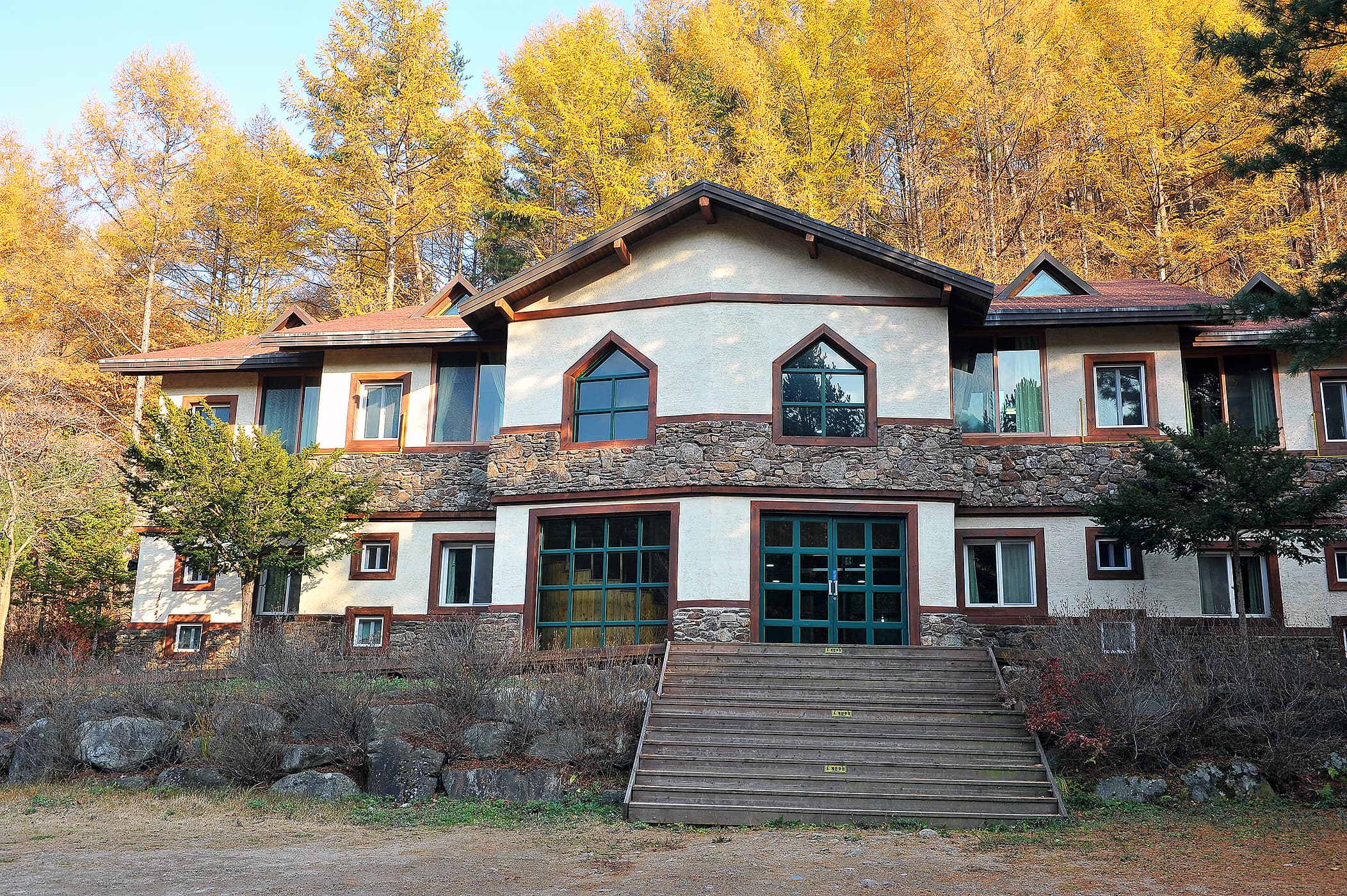 국립청옥산자연휴양림제1야영장 사진 3