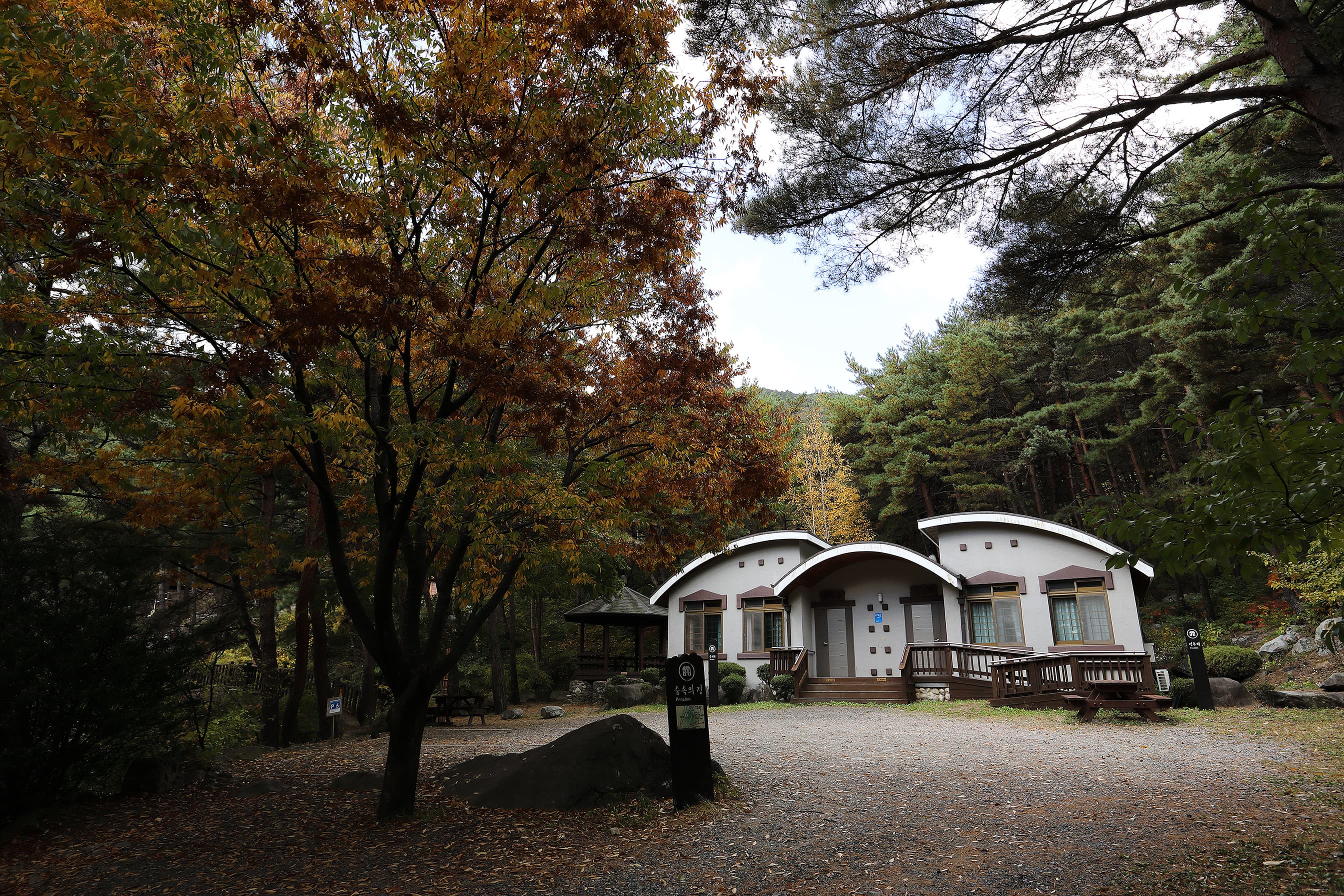 칠보산자연휴양림야영장 사진 9