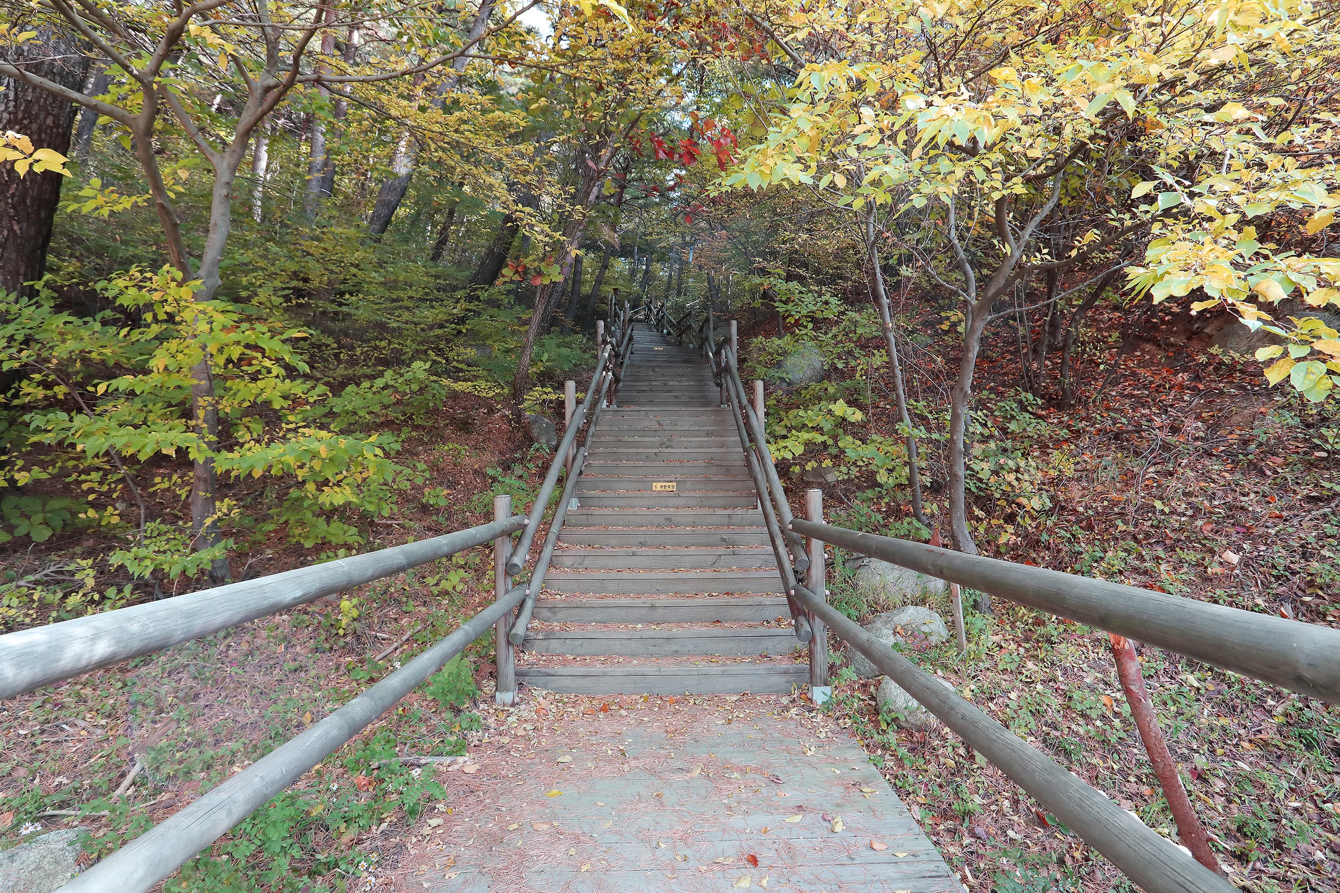 칠보산자연휴양림야영장 사진 12