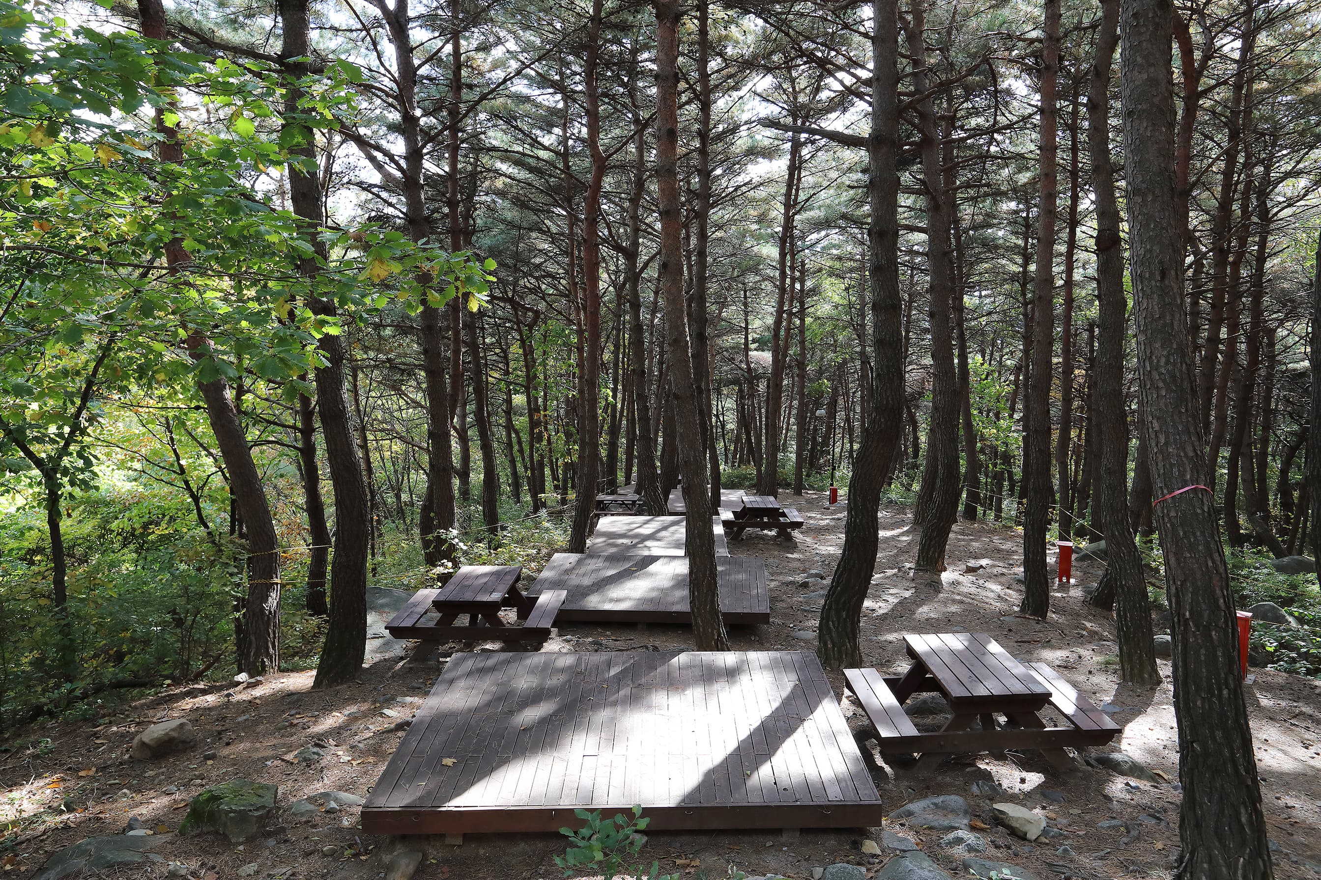 칠보산자연휴양림야영장 사진 16