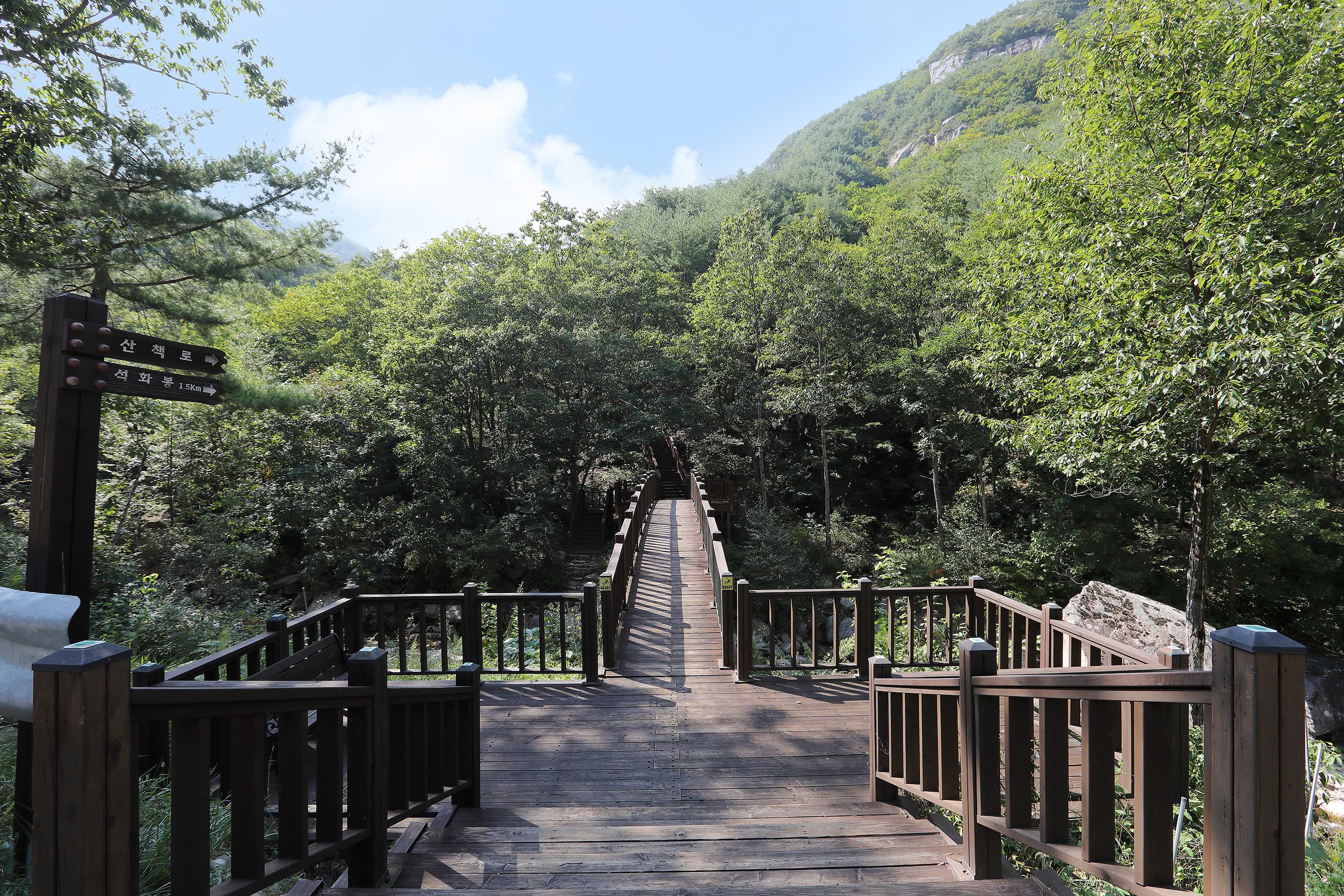 황정산자연휴양림야영장 사진 20