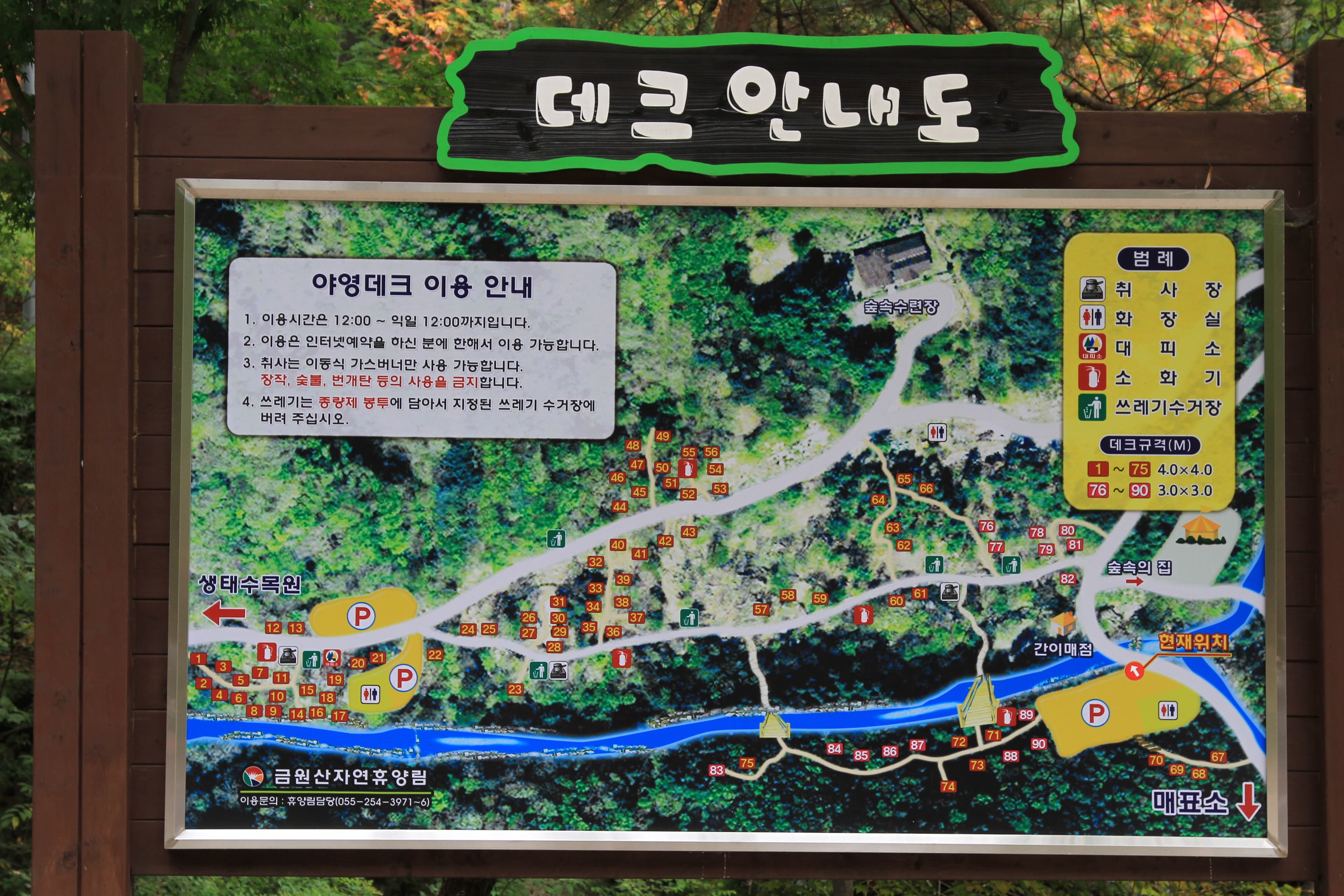 금원산자연휴양림캠핑장 사진 1