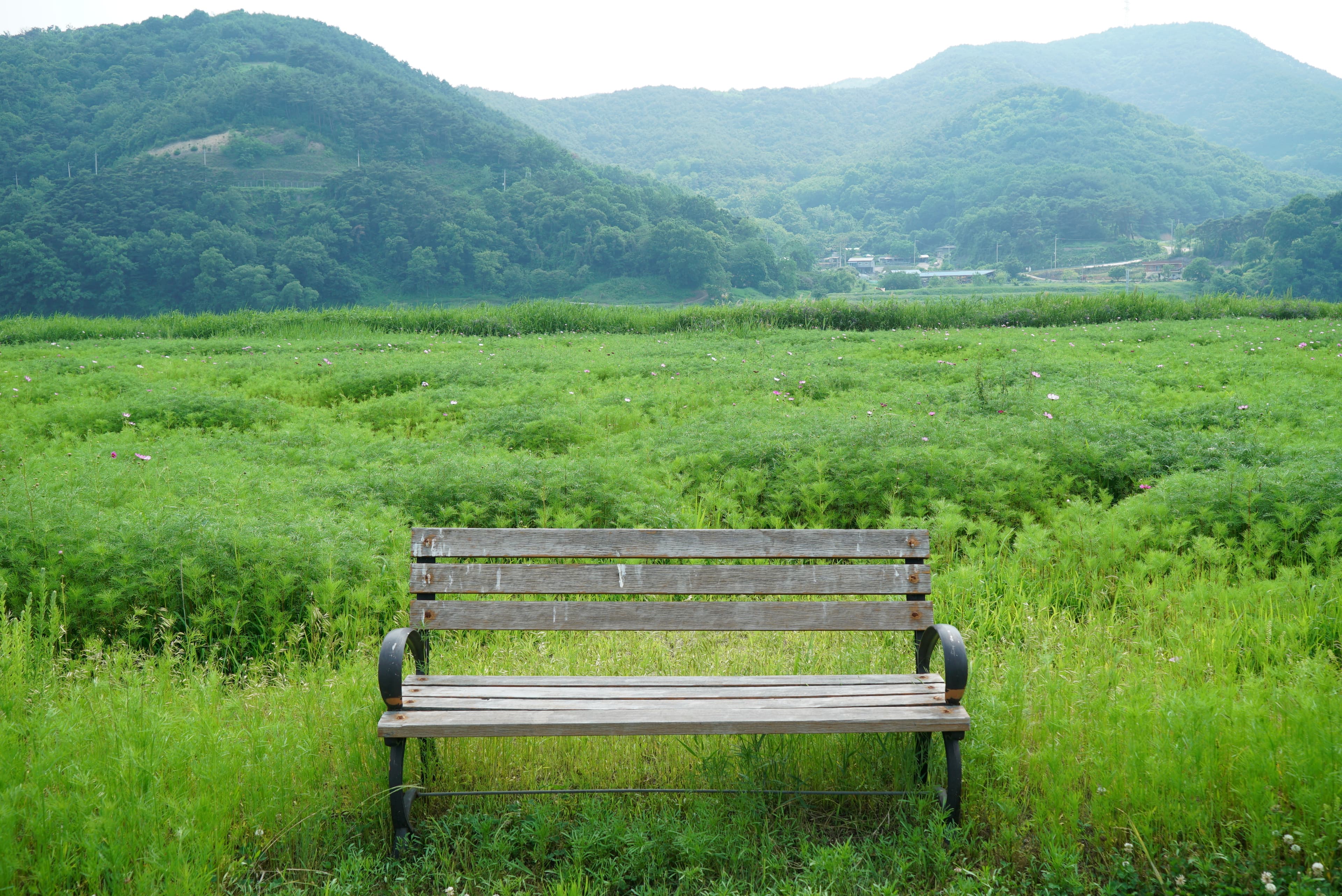낙동강 레포츠밸리 강변오토캠핑장 사진 15