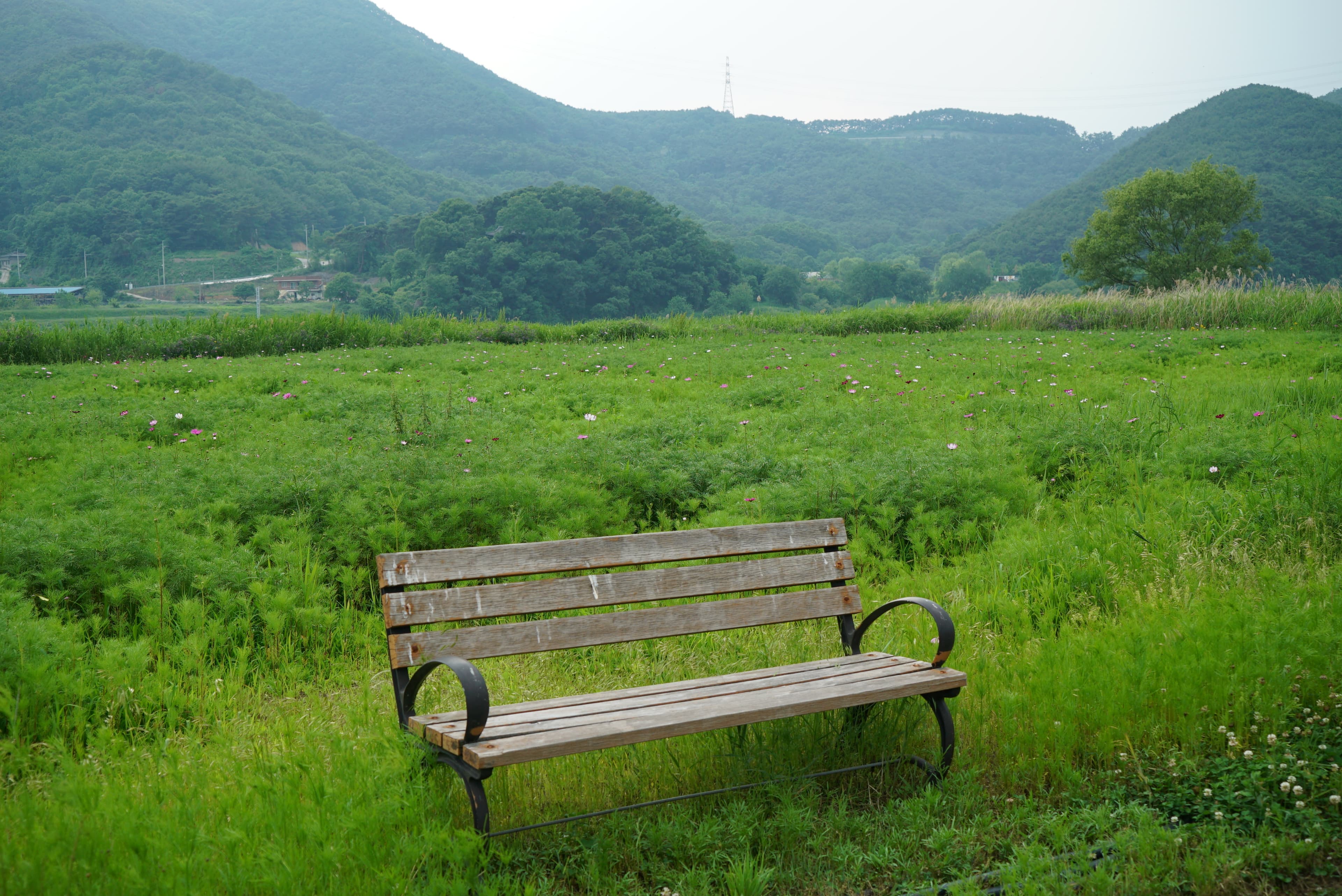 낙동강 레포츠밸리 강변오토캠핑장 사진 11