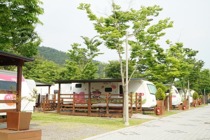 낙동강레포츠밸리 구지오토캠핑장 대표 사진