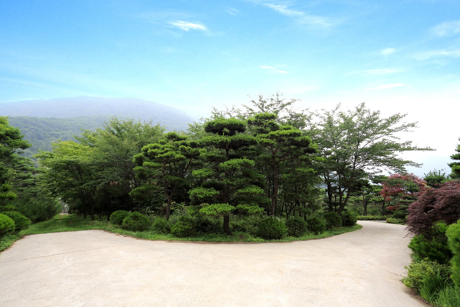 노꼬담꼬 사진 16