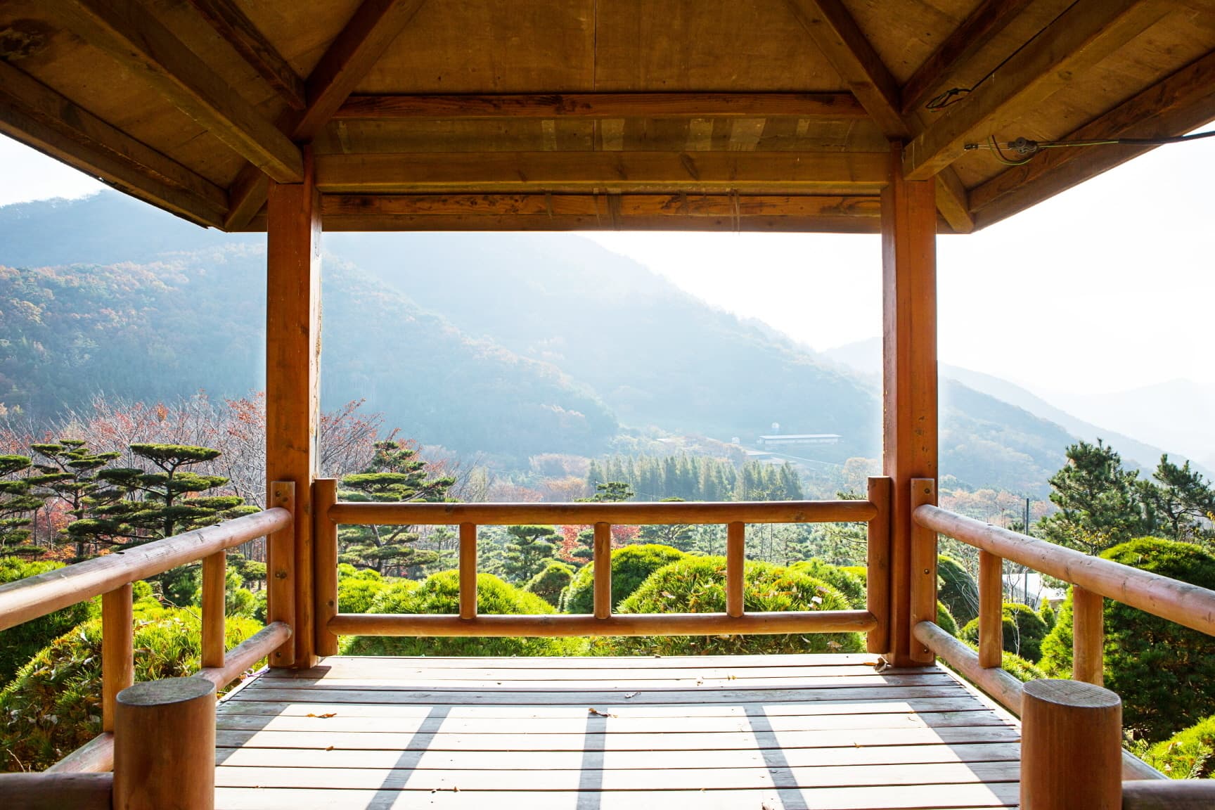 노꼬담꼬 사진 4