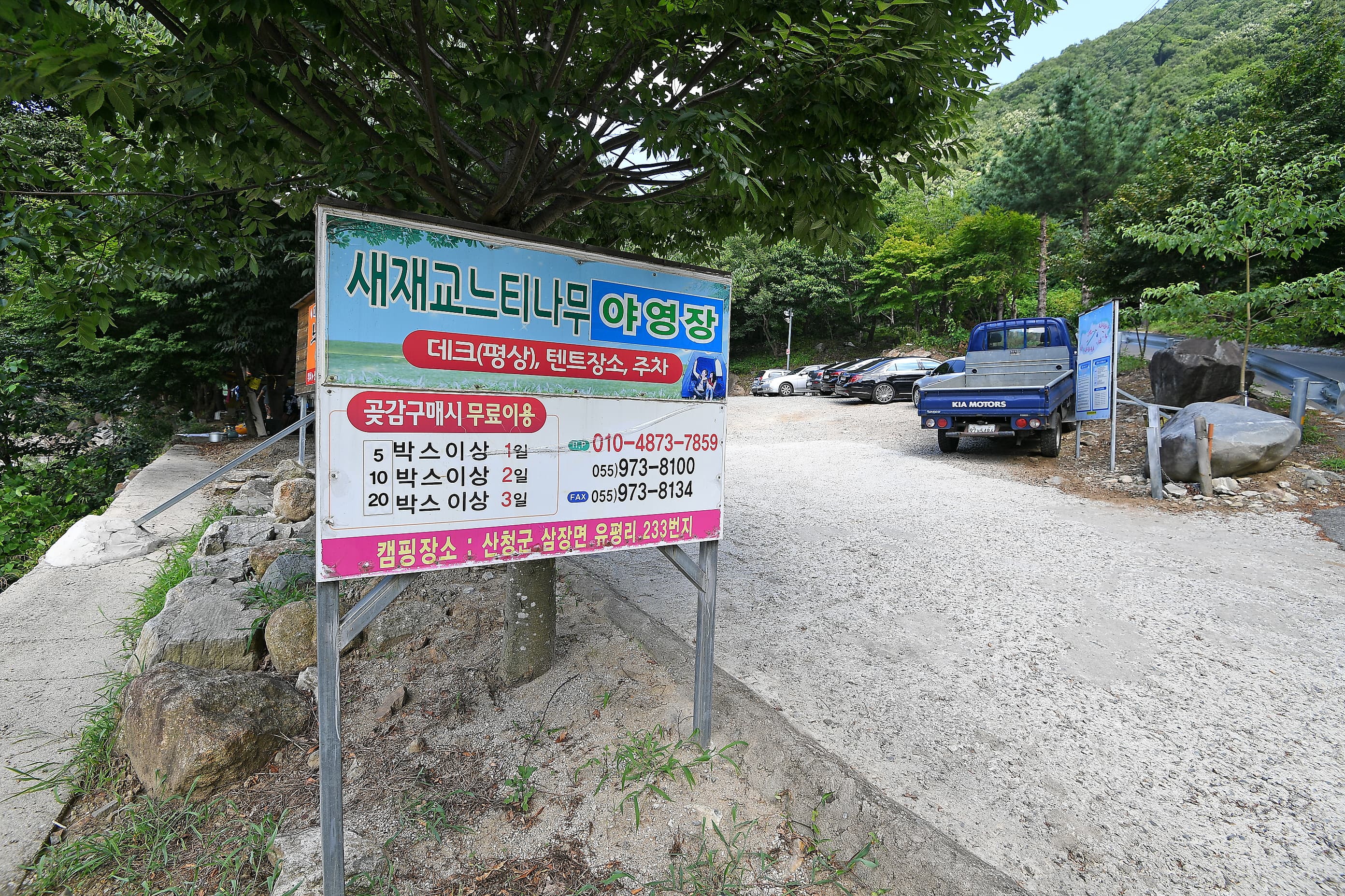 느티나무야영장 사진 4
