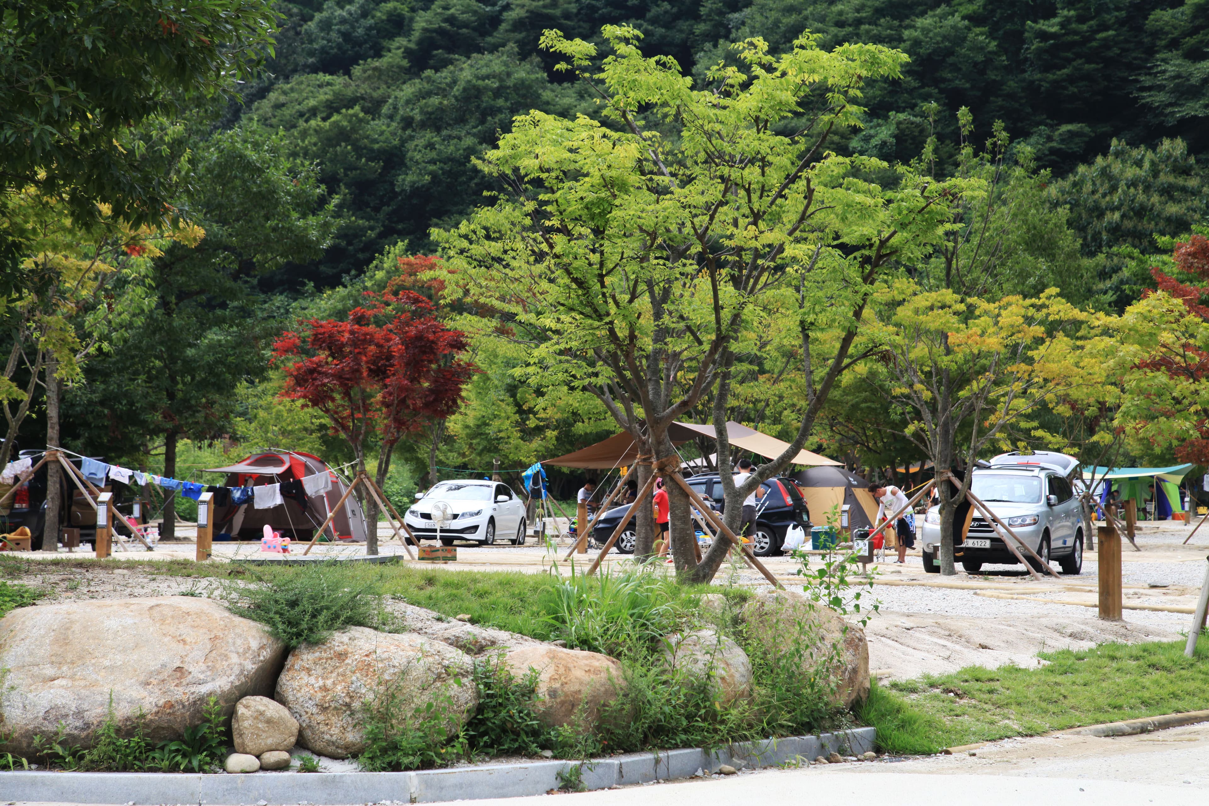 달궁자동차야영장 사진 20