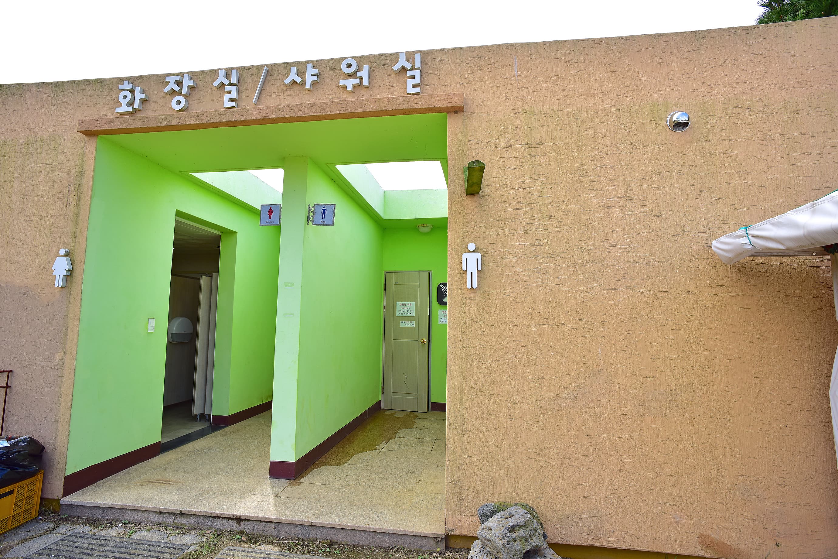 비체올린 사진 13