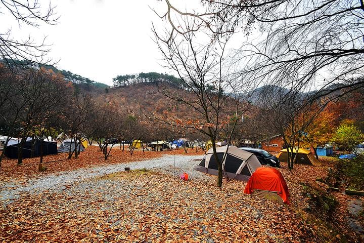 LAFORESTA(라포레스타) 대표 사진