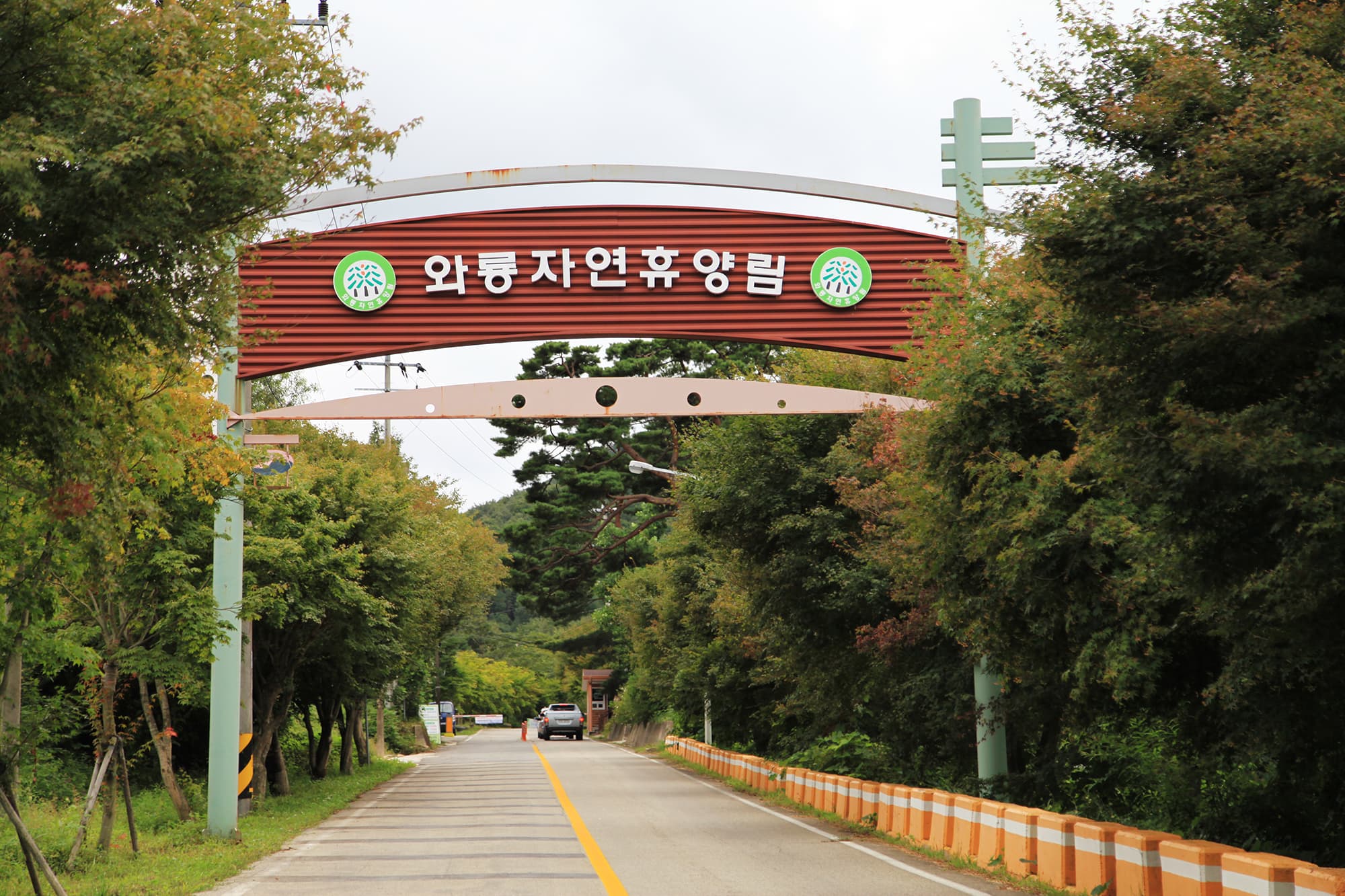 와룡자연휴양림 일반야영장 사진 15
