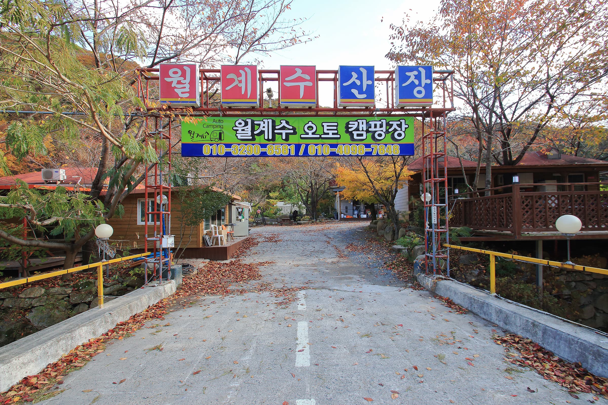 월계수 캠핑장 사진 7