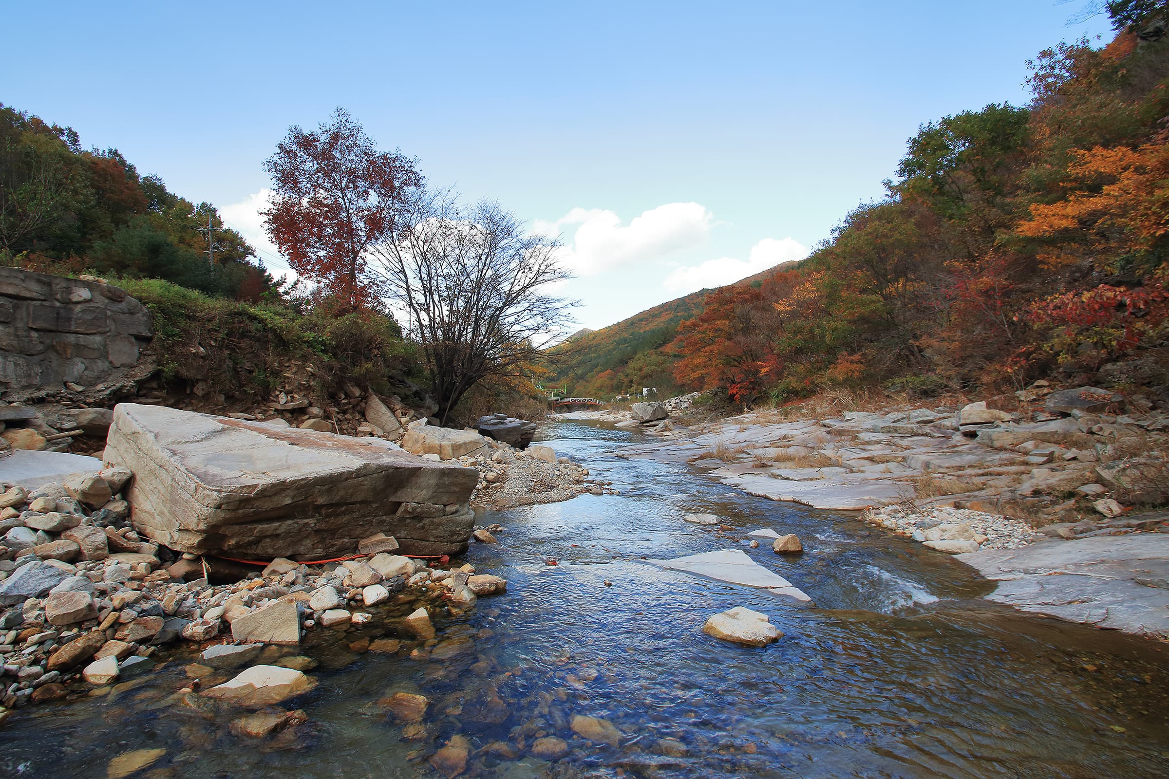 월계수 캠핑장 사진 20