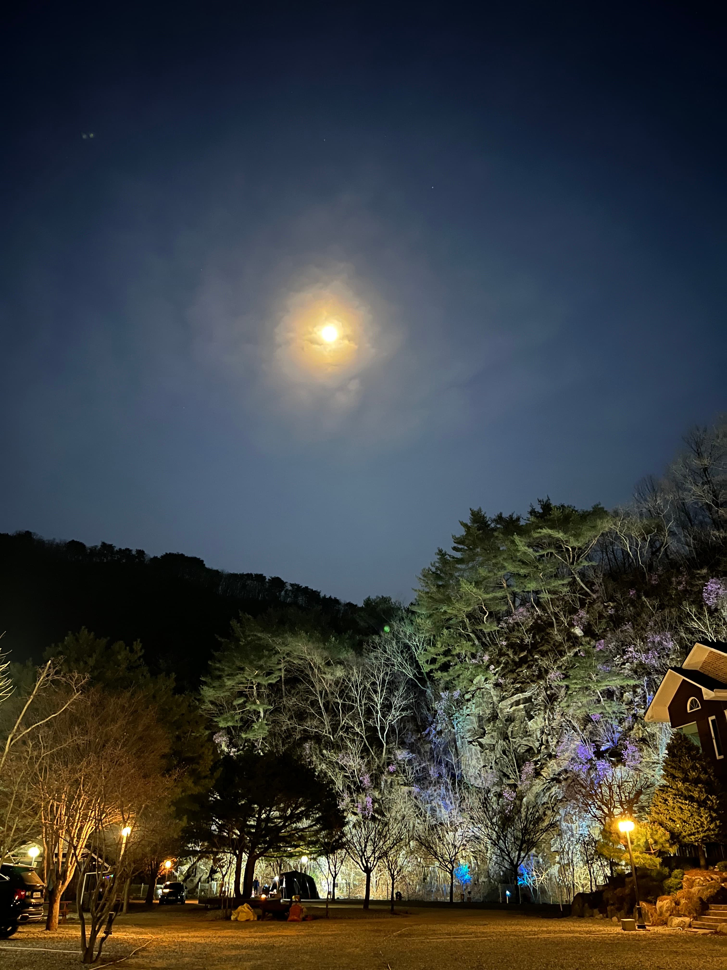 네스트캠핑장 사진 4