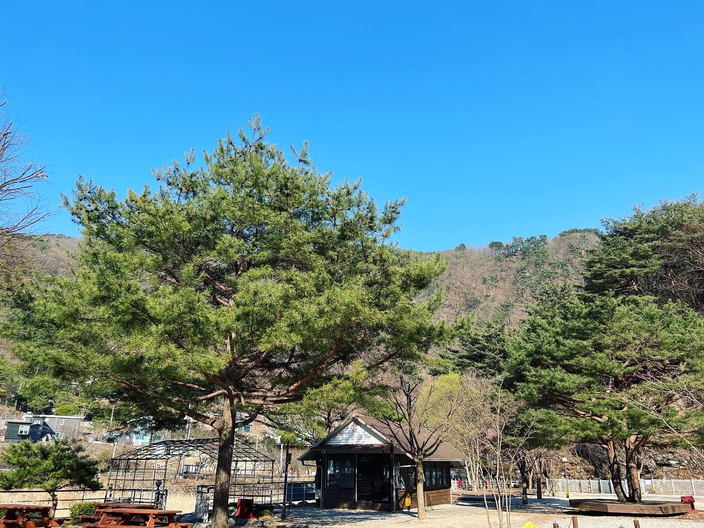 네스트캠핑장 사진 11