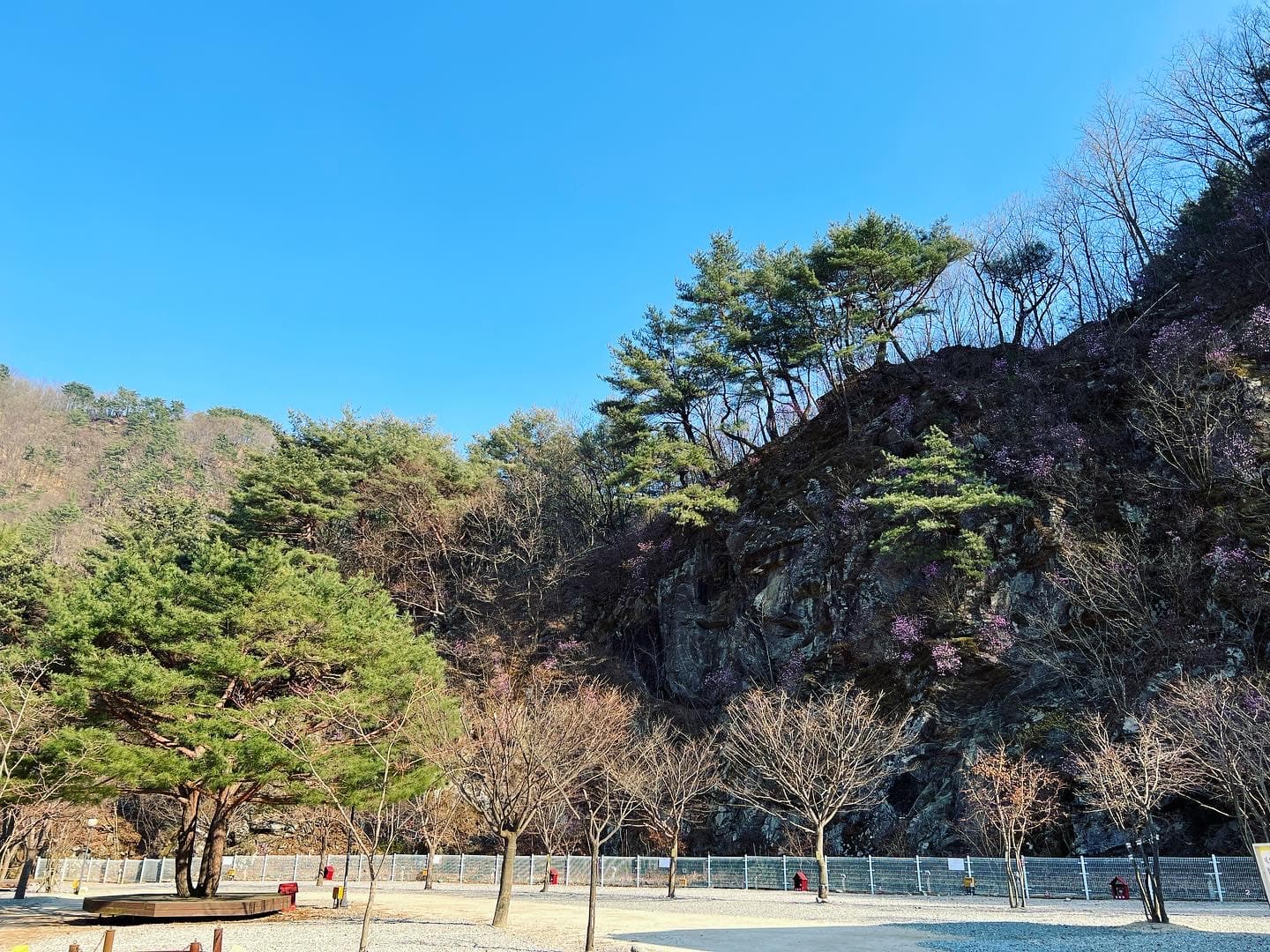 네스트캠핑장 사진 10