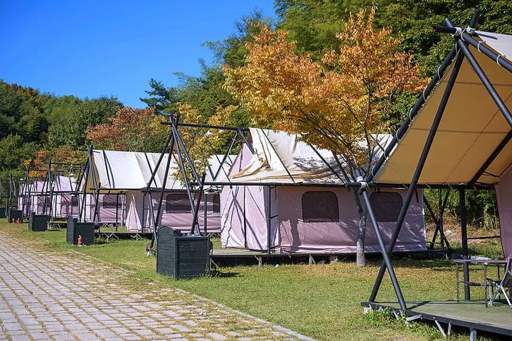 담양금성산성 오토캠핑장 대표 사진