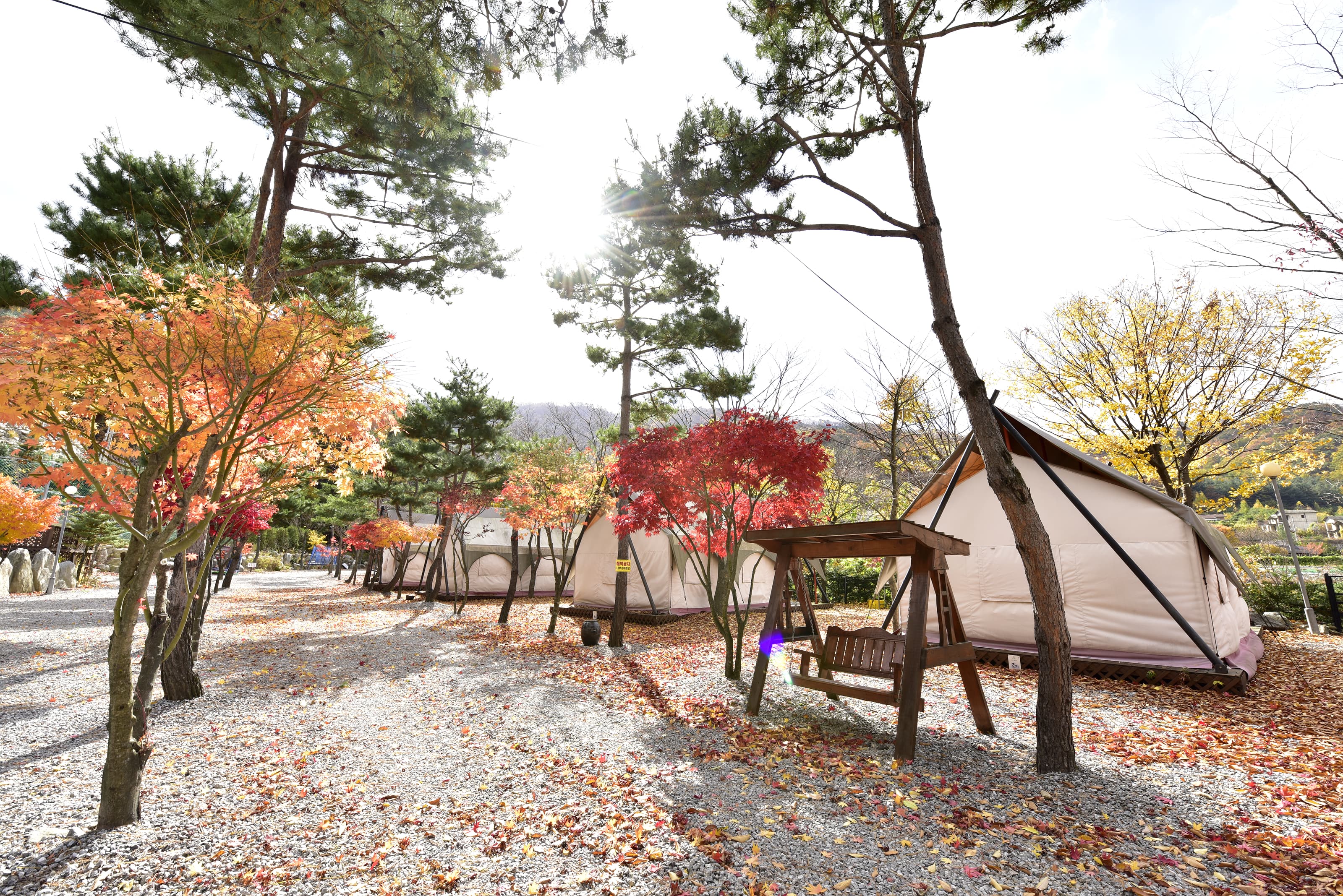 리즈밸리 사진 18