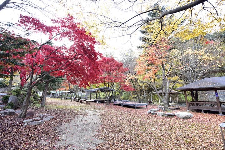 유명산밸리캠핑장 대표 사진