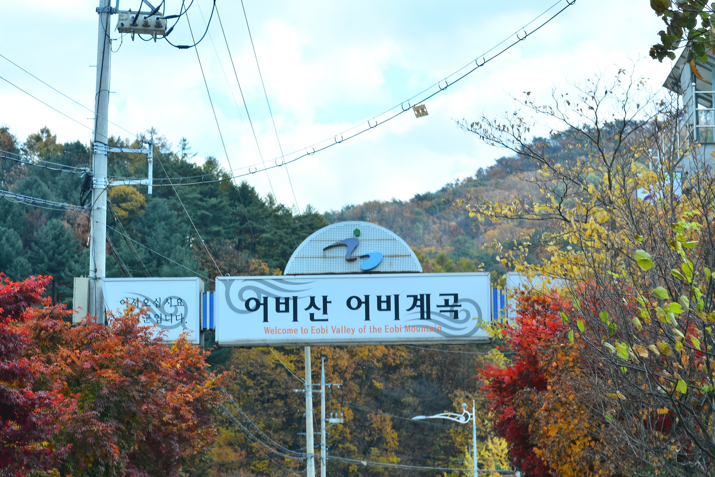 유명산힐링캠프 사진 17