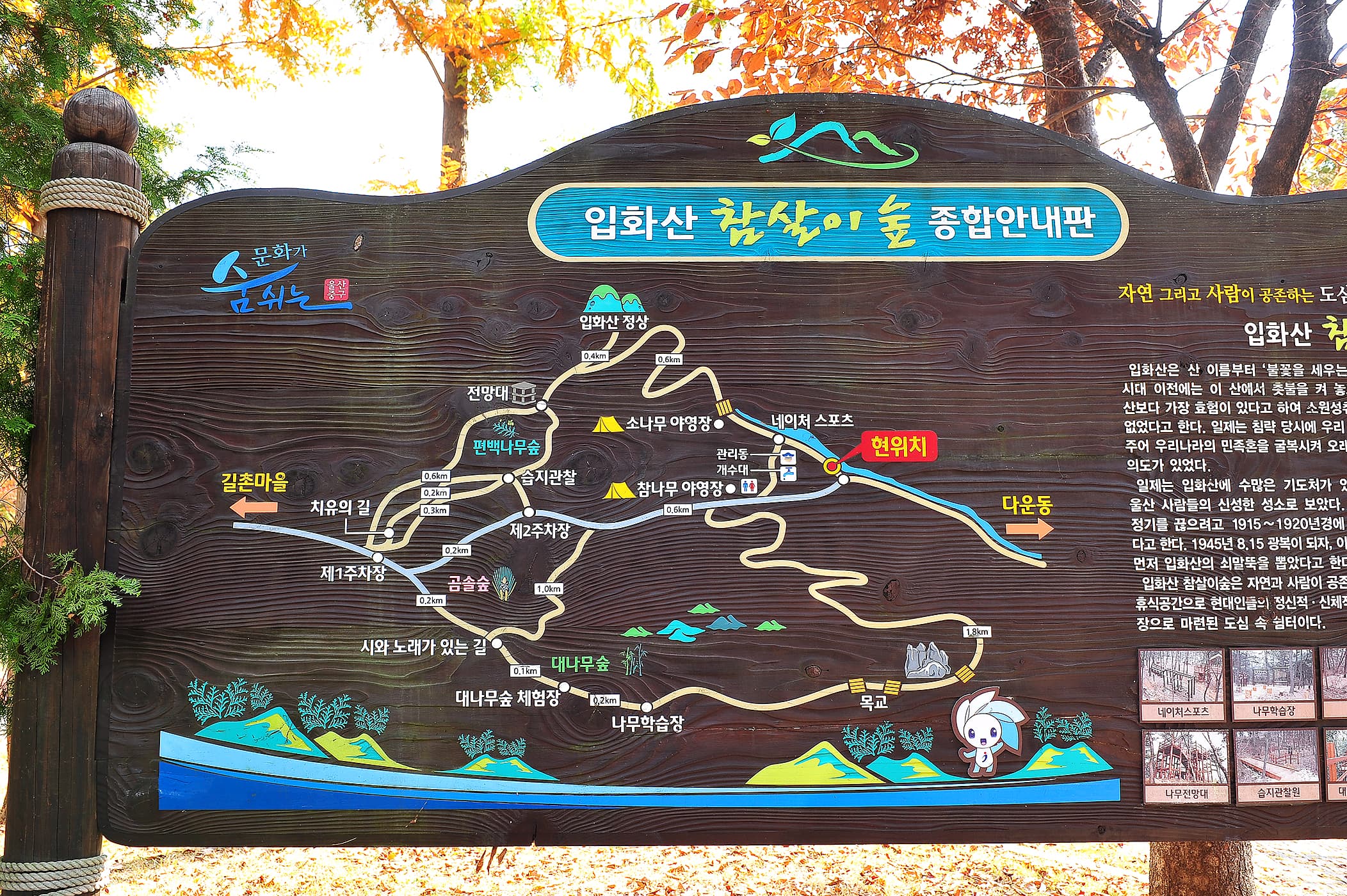 입화산참살이숲야영장 사진 1
