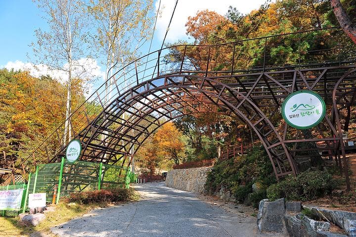 입화산참살이숲야영장 대표 사진