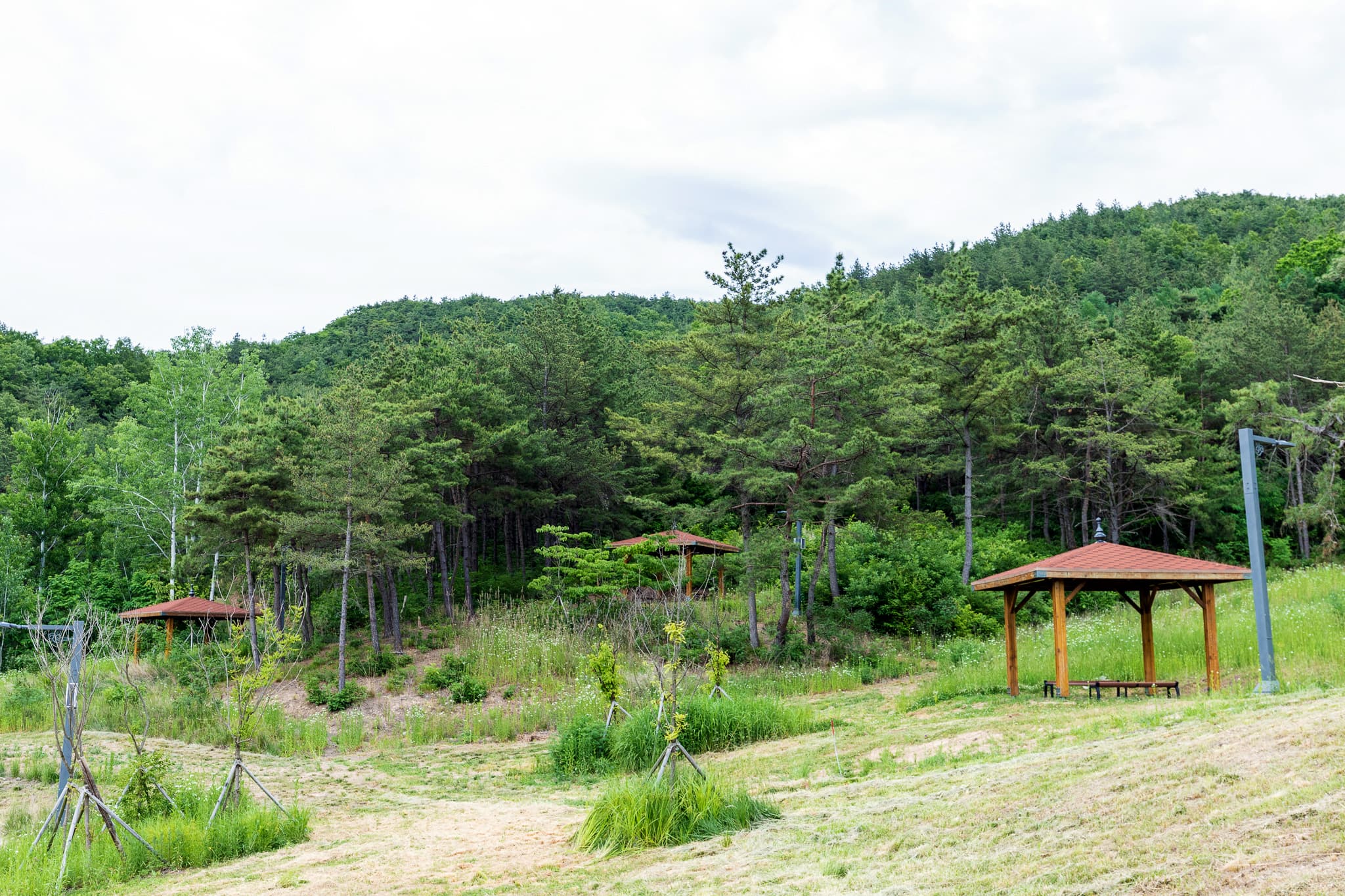 위천수변 테마공원 사진 5