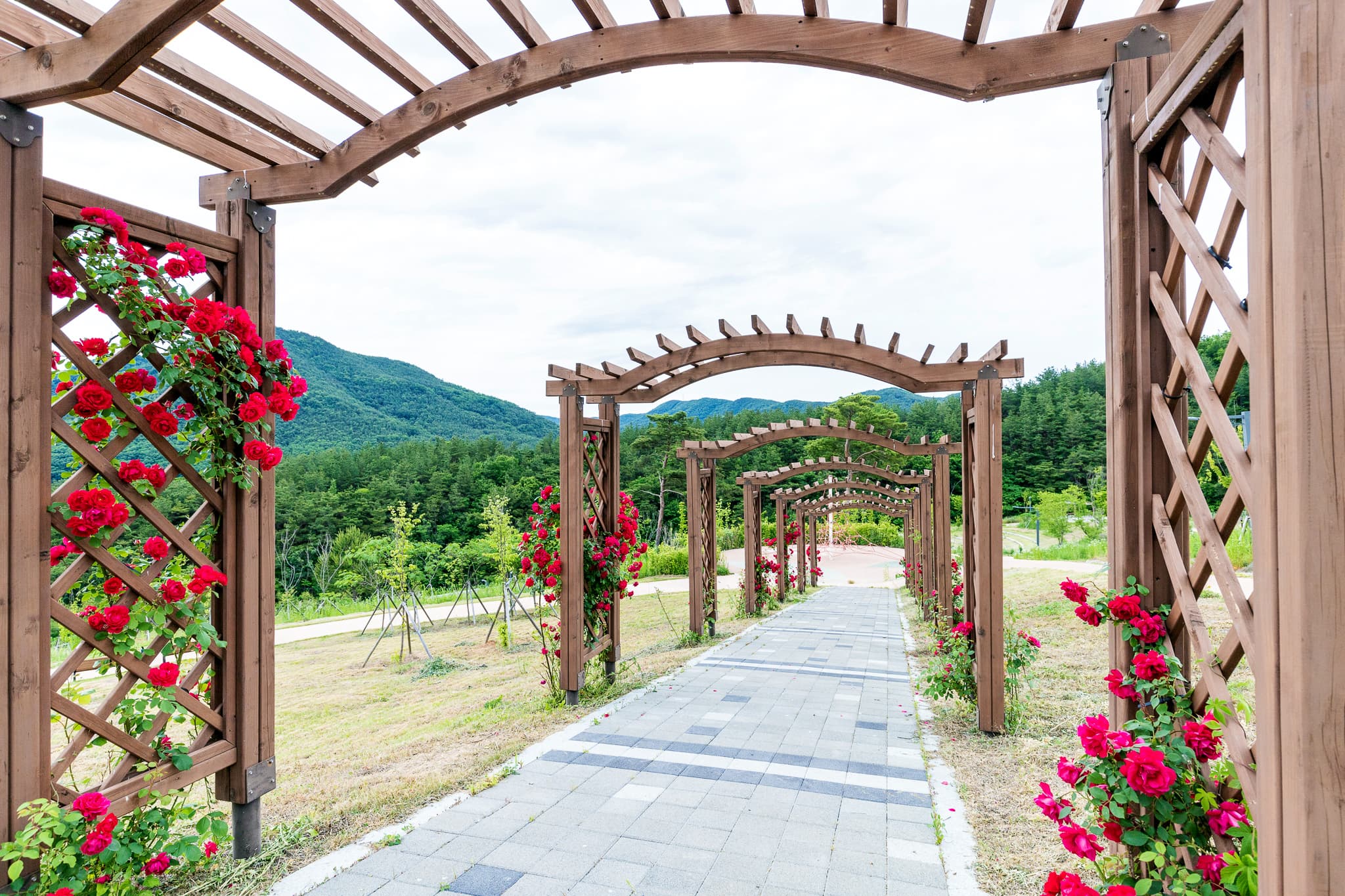 위천수변 테마공원 사진 3