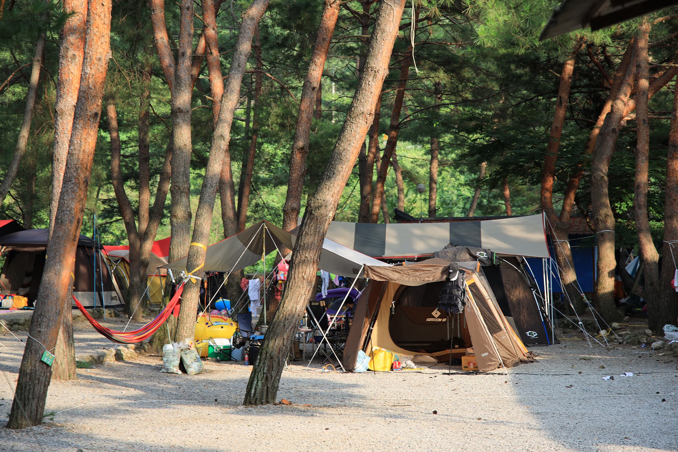 내리계곡 솔밭캠핑장 사진 18