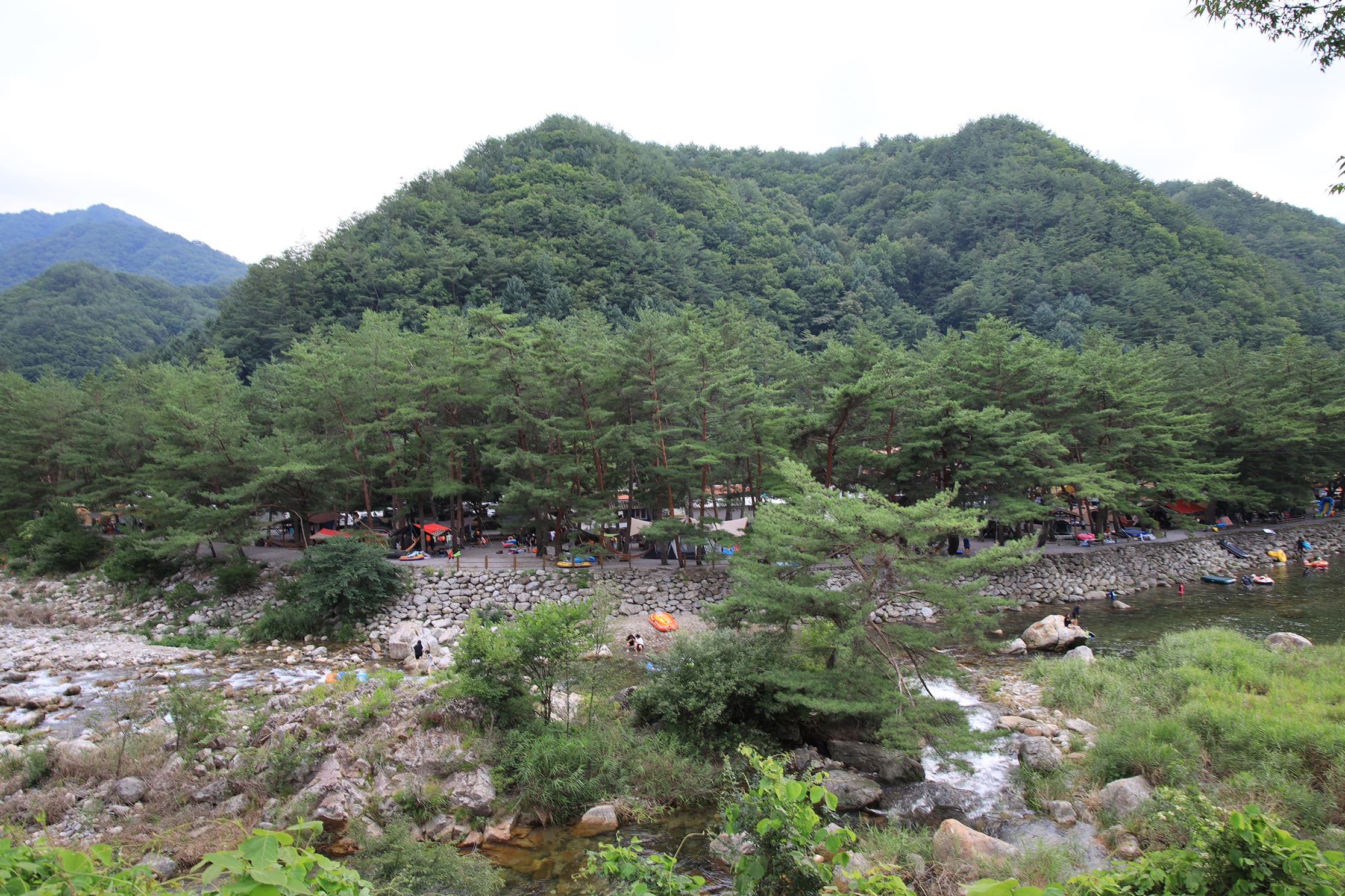 내리계곡 솔밭캠핑장 사진 32