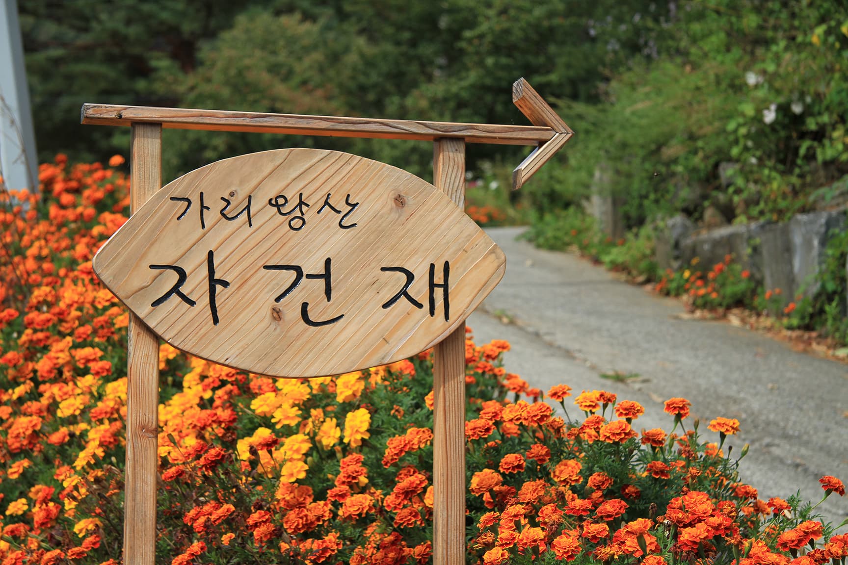 가리왕산 자건재 사진 7