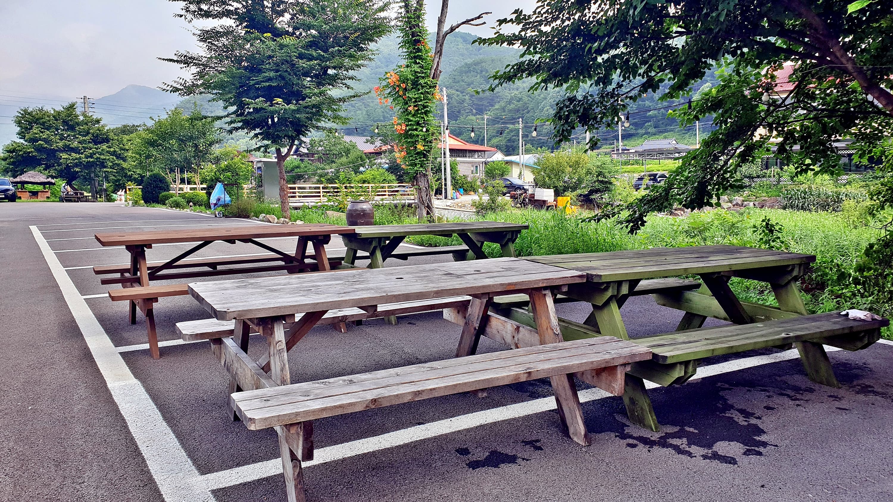 배론의아침 사진 5