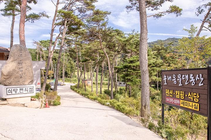 솔내음 물댄동산 야영장 대표 사진