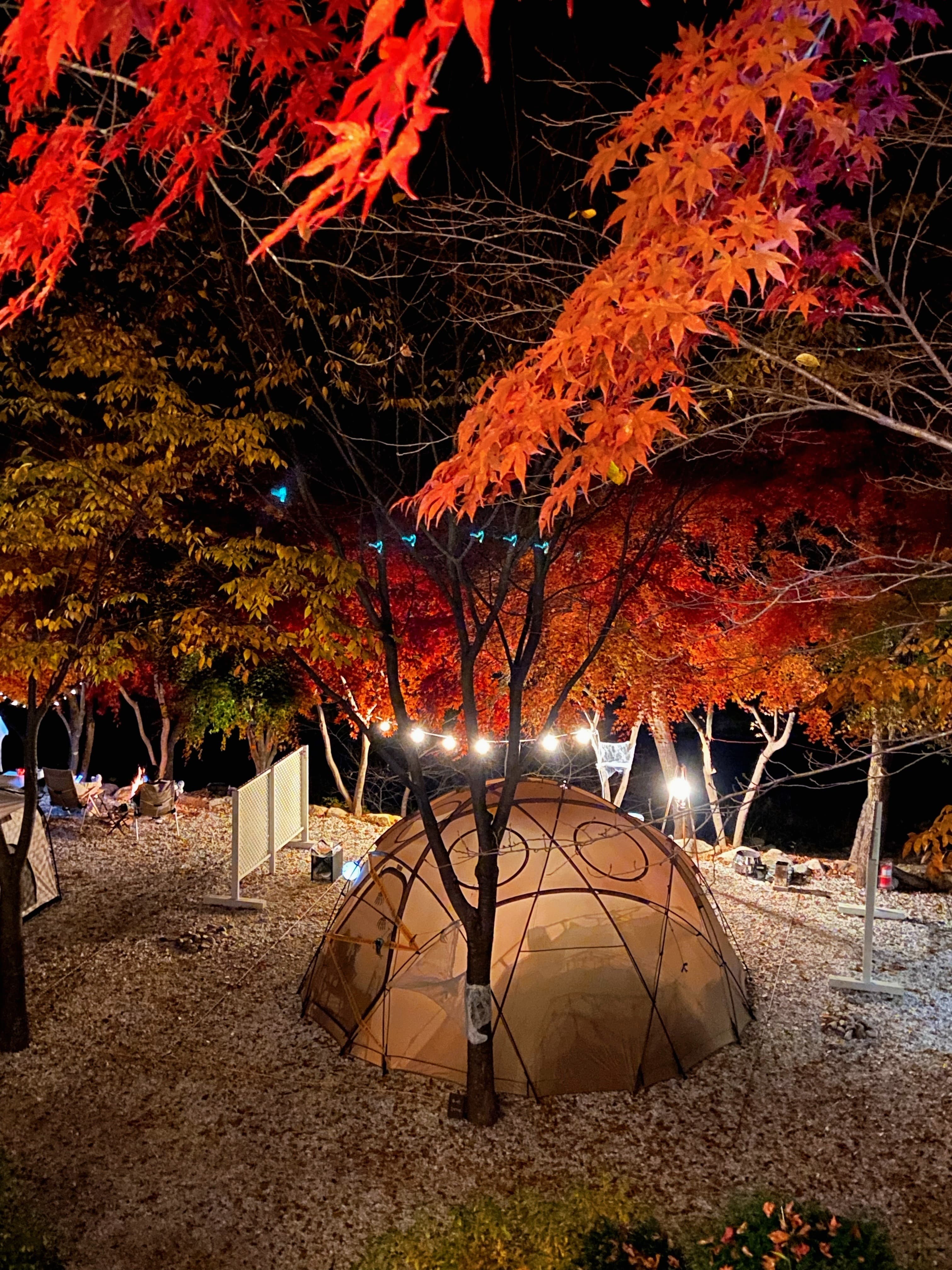 봉화별캠핑장 사진 11