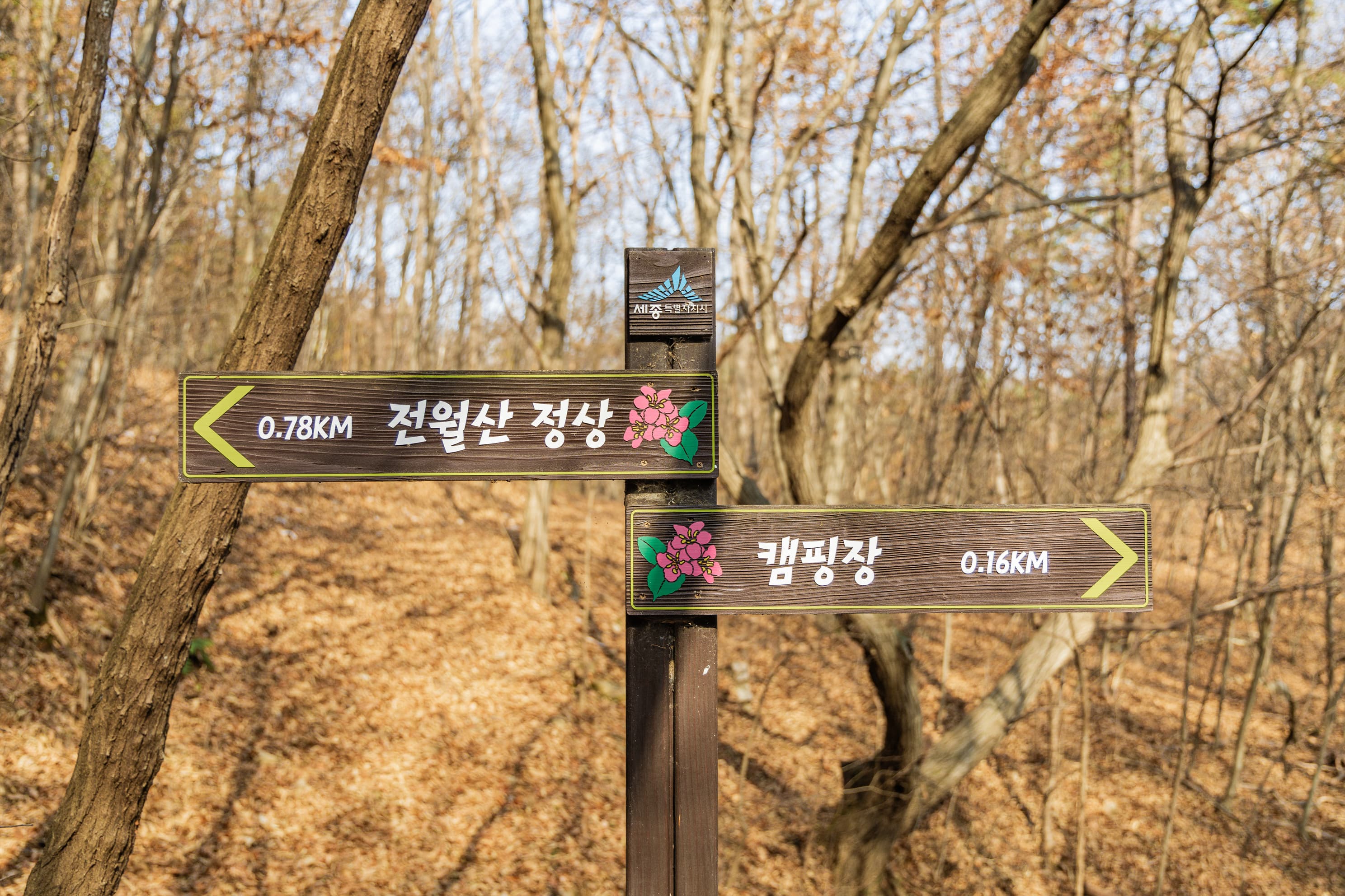 전월산 국민여가캠핑장 사진 6
