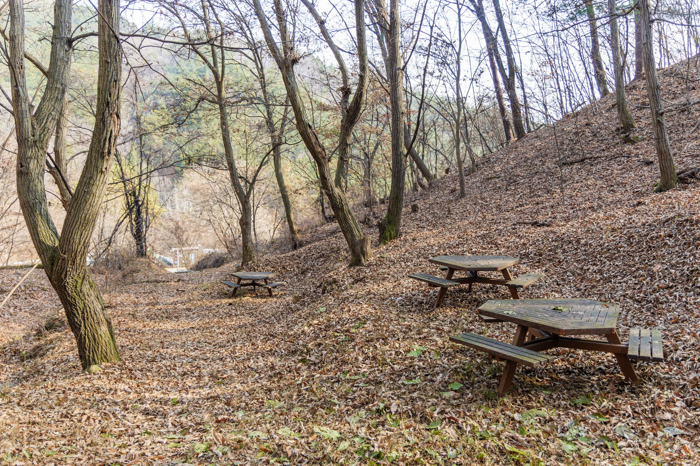 전월산 국민여가캠핑장 사진 5