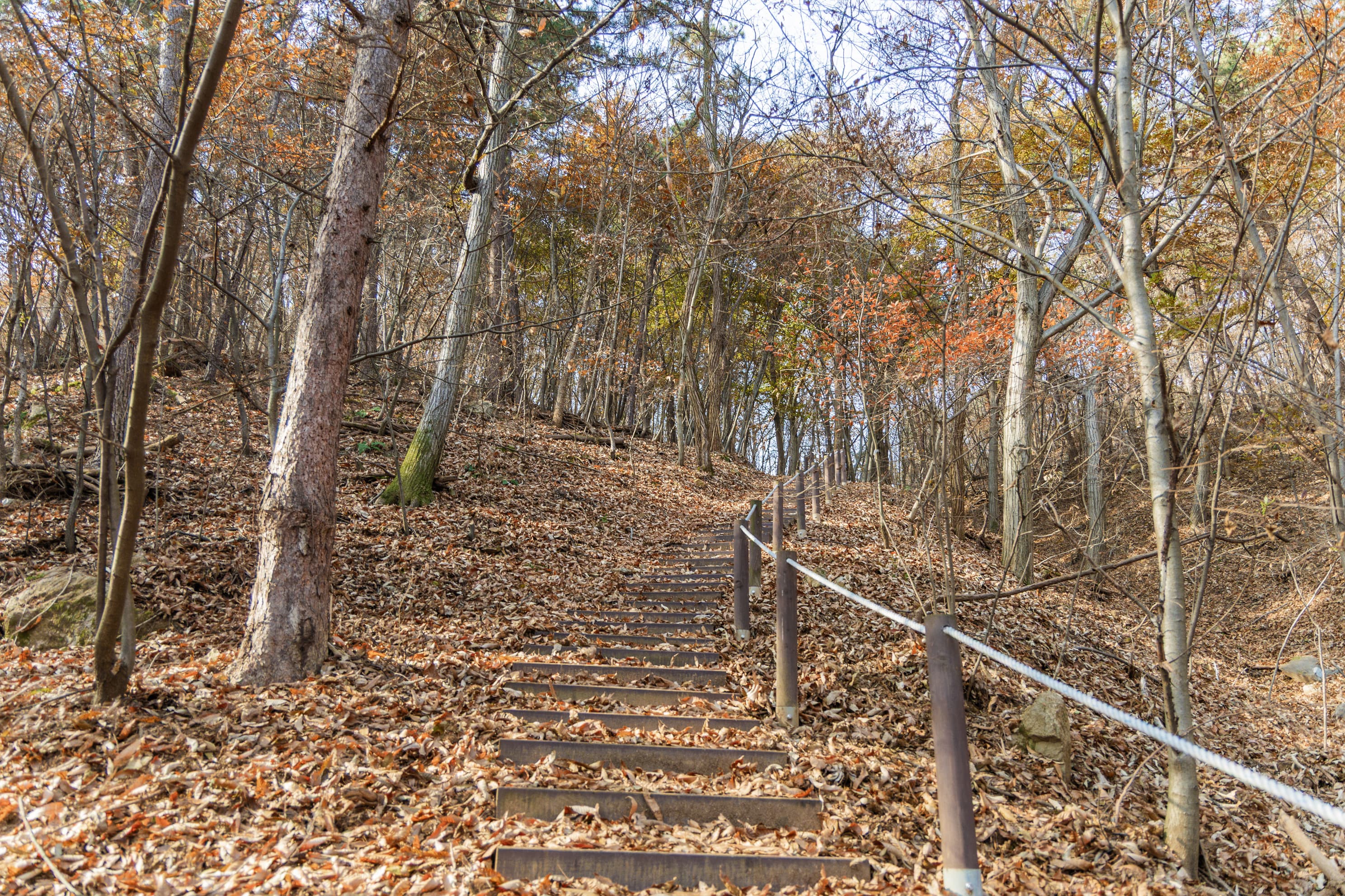 전월산 국민여가캠핑장 사진 7