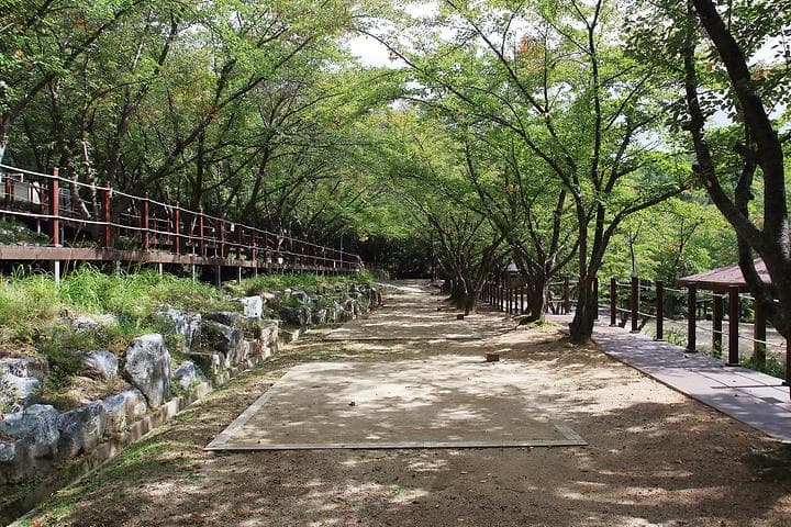 팔공산 국립공원 가산산성 야영장 대표 사진