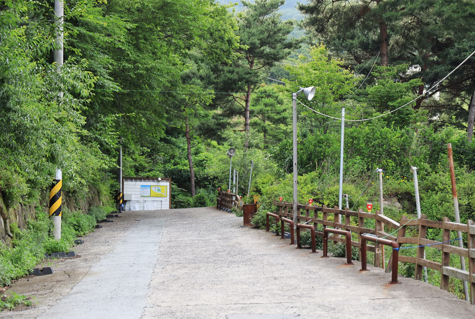 더캠프 사진 2