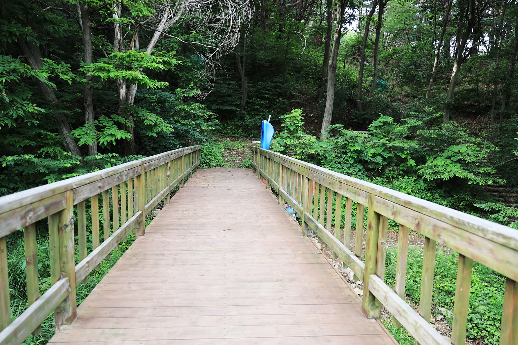더캠프 사진 11