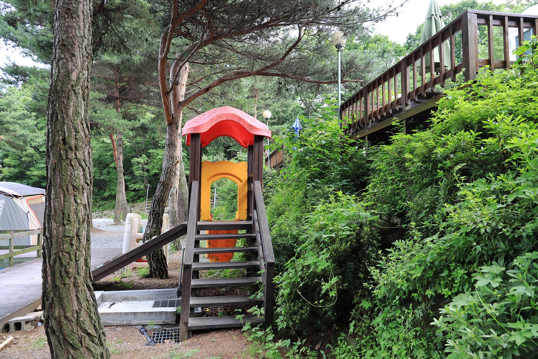 더캠프 사진 13